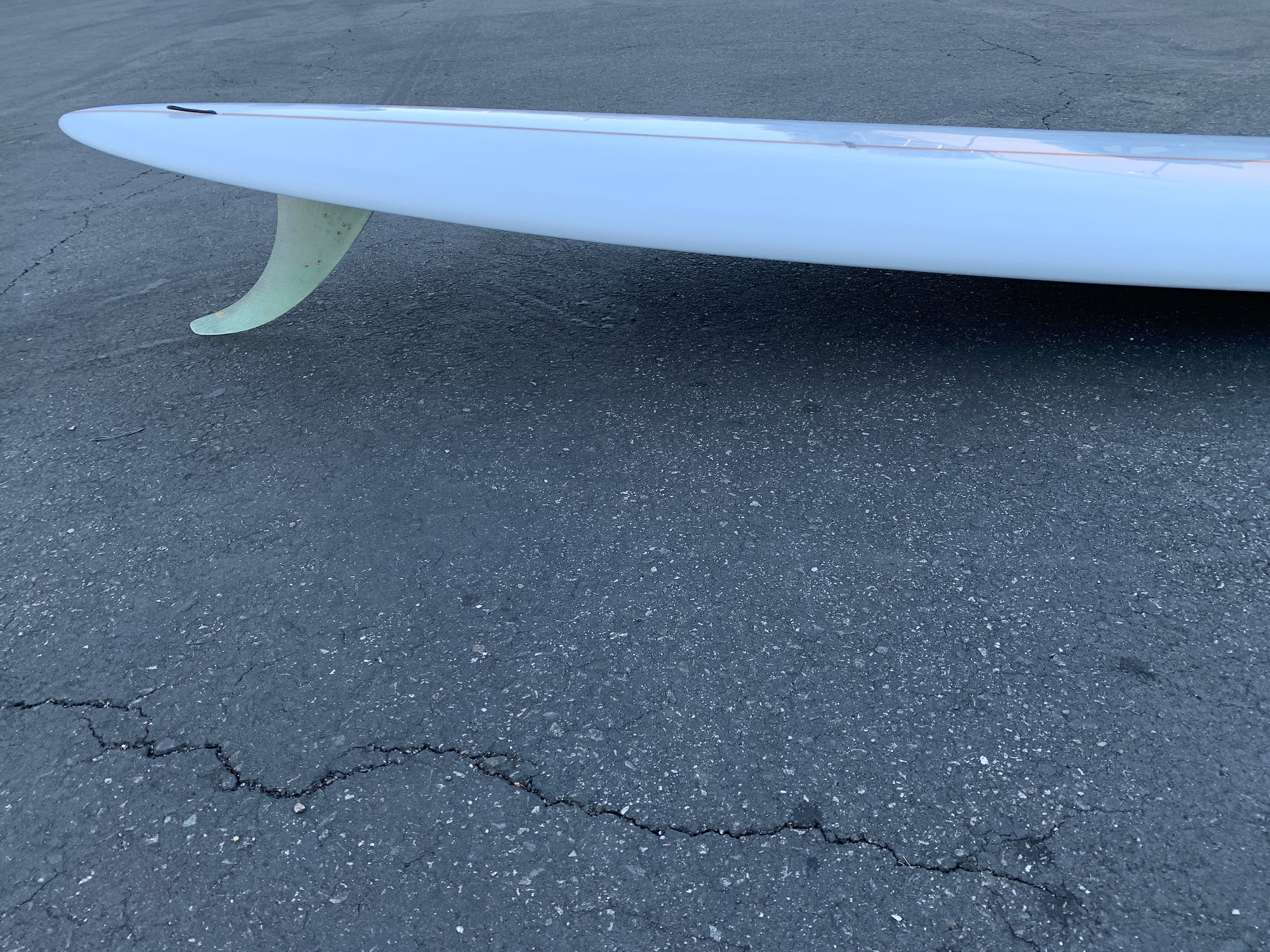 9'4" Arenal Sighthound