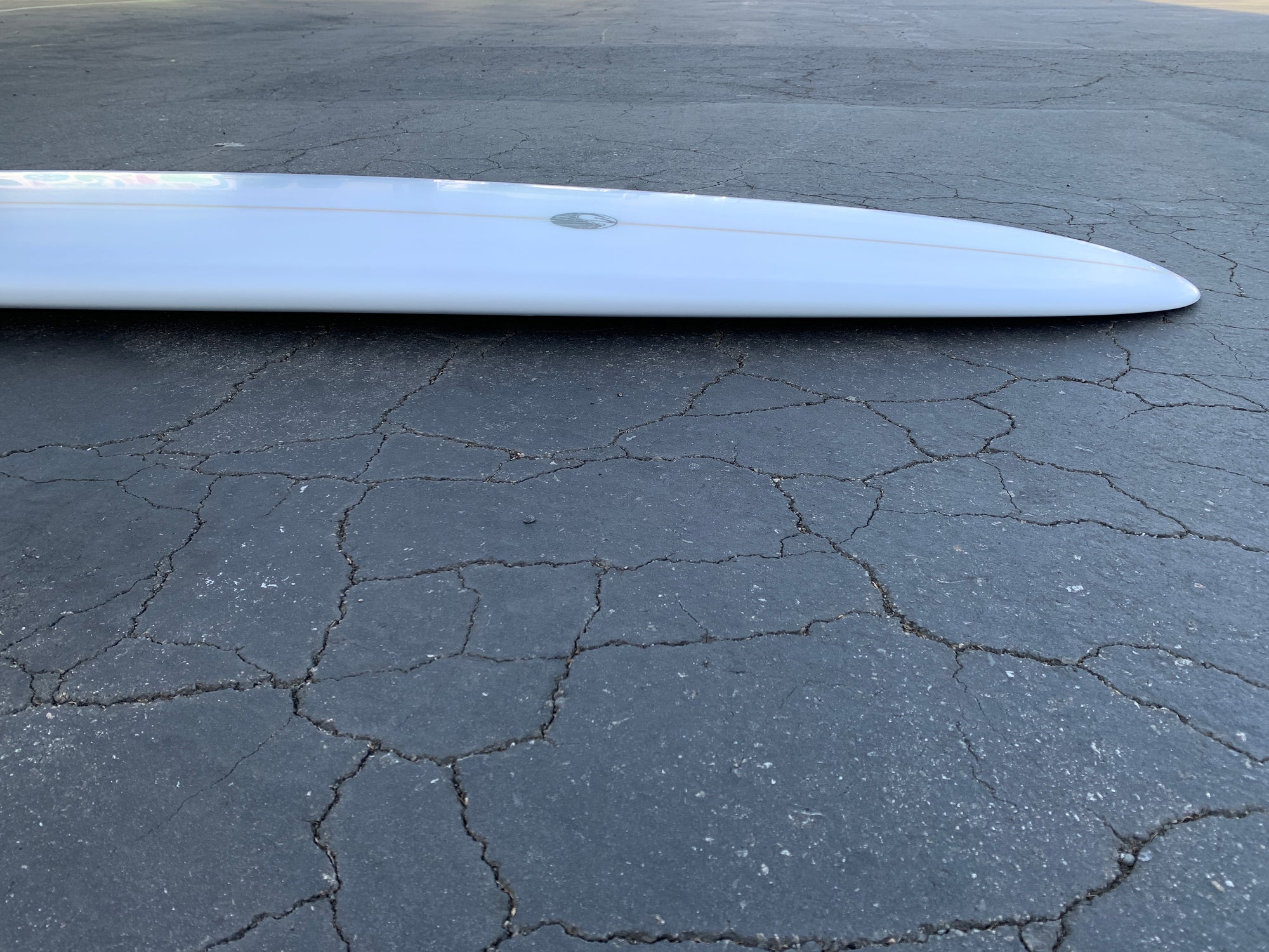 9'6" Zack Flores Zelzy