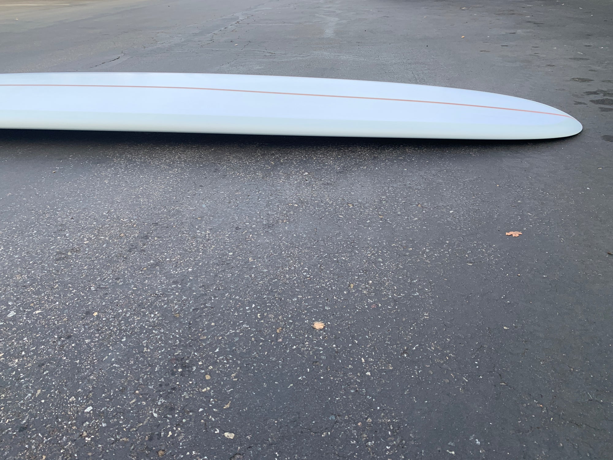 9'5" Elmore Sam's Club