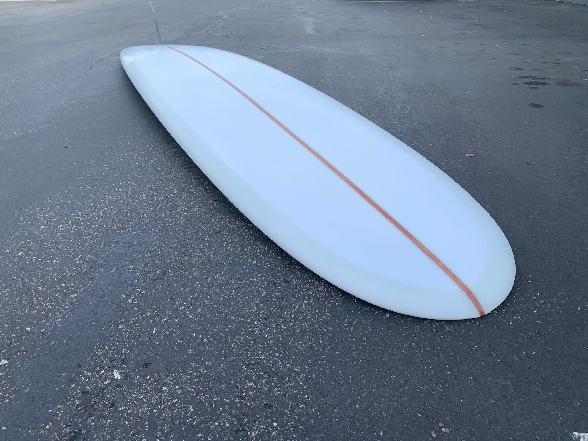 9'5" Elmore Sam's Club