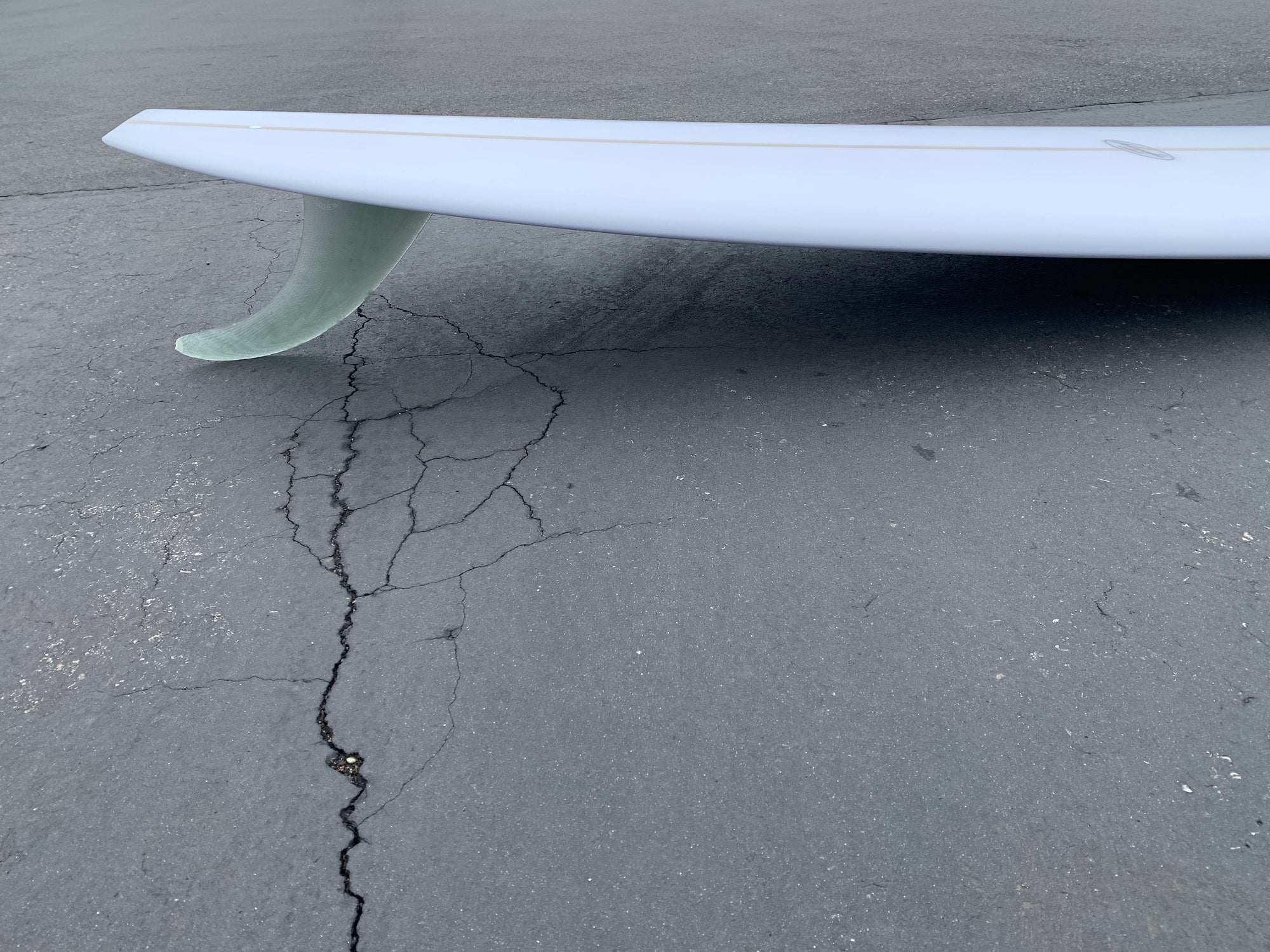 9'5" Schroeder Pepper Tree