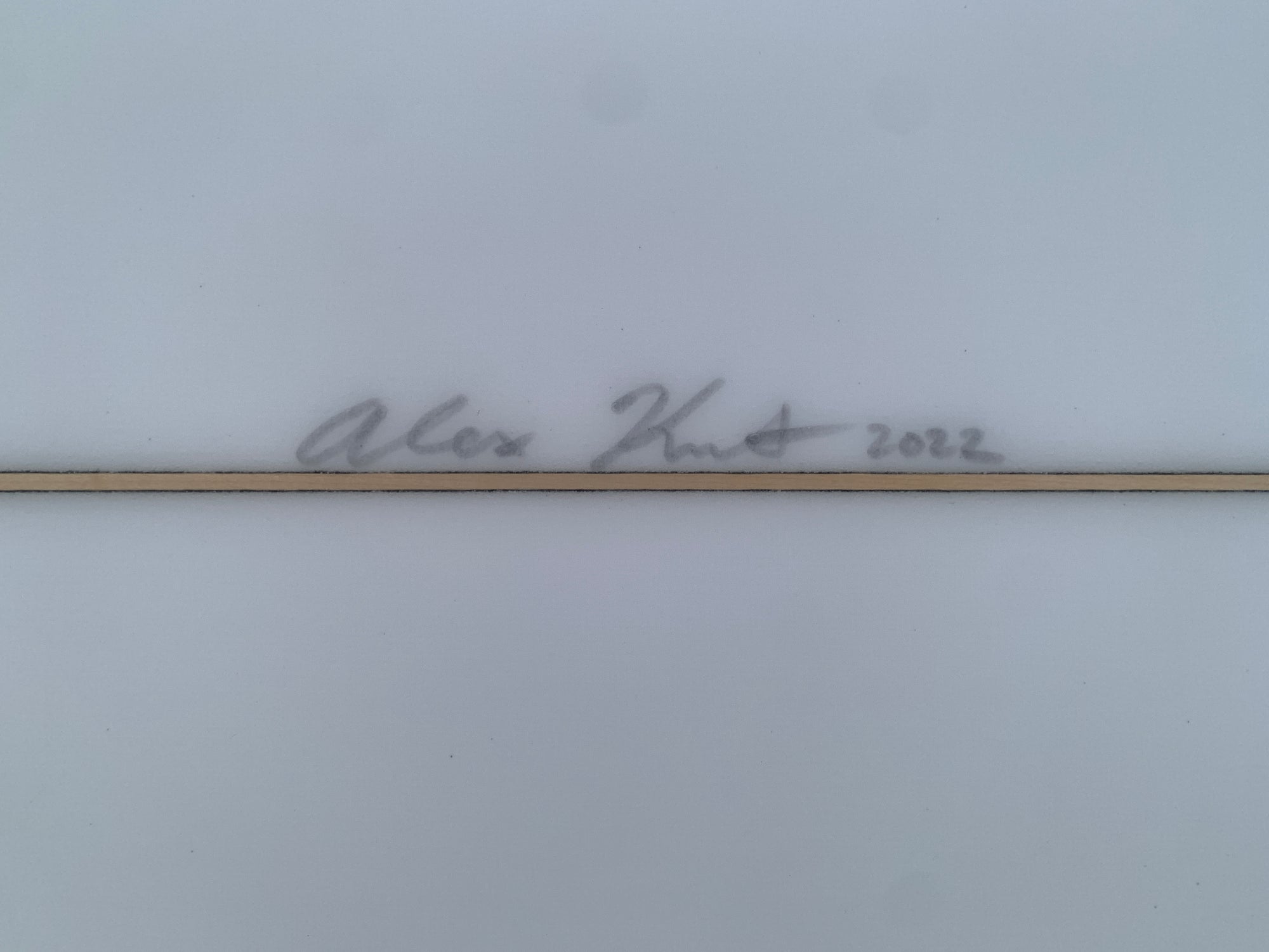 6'10" Alex Knost BMT Enhanced Needle