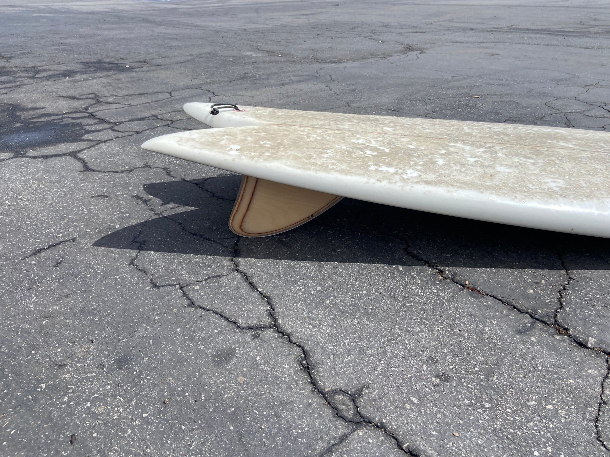 5'5" Elmore Frye'd Fish (Used)