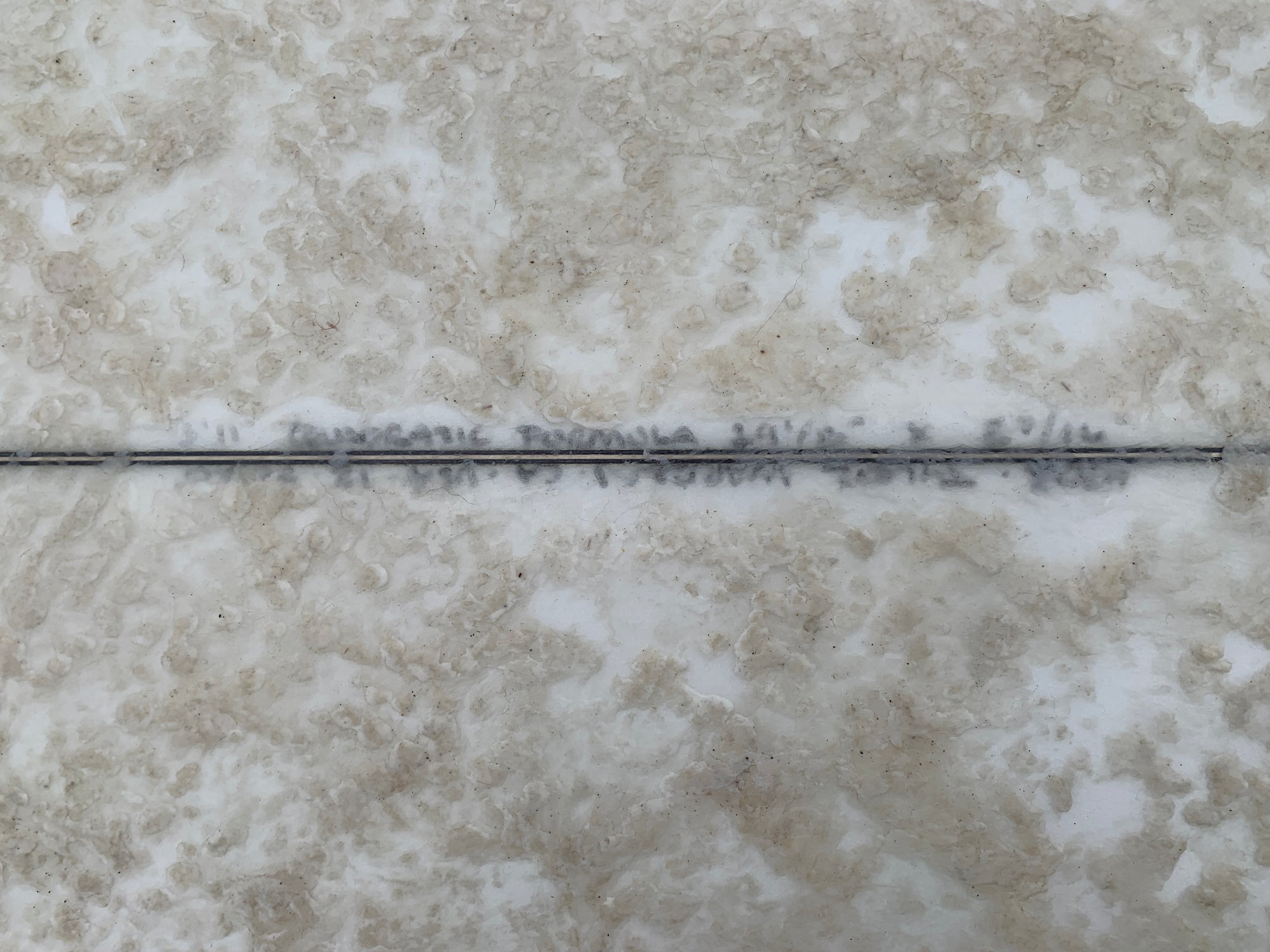 5'11" Tyler Warren Quadratic Formula (Used)