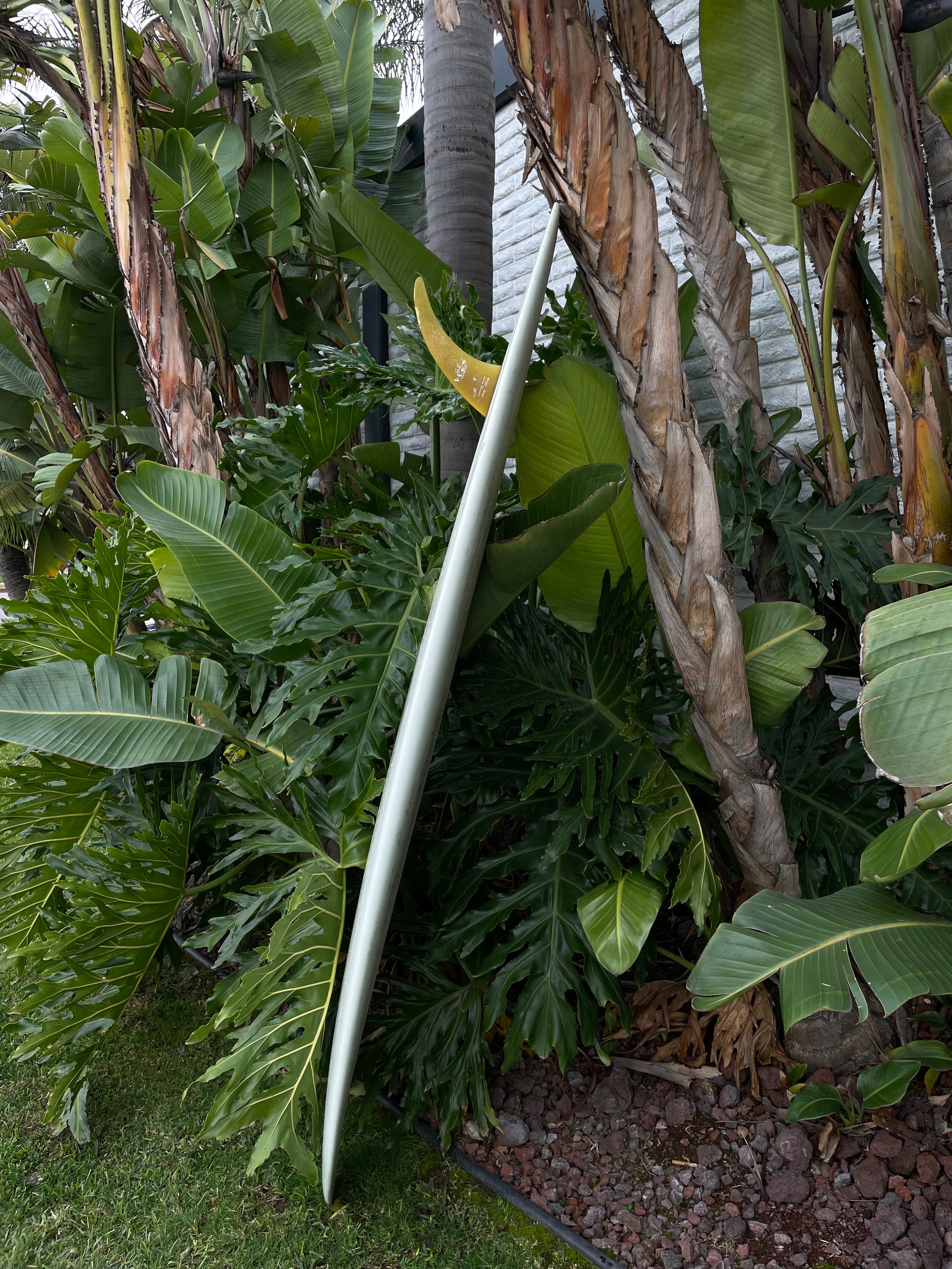 7'5" Andreini Vaquero (Used)
