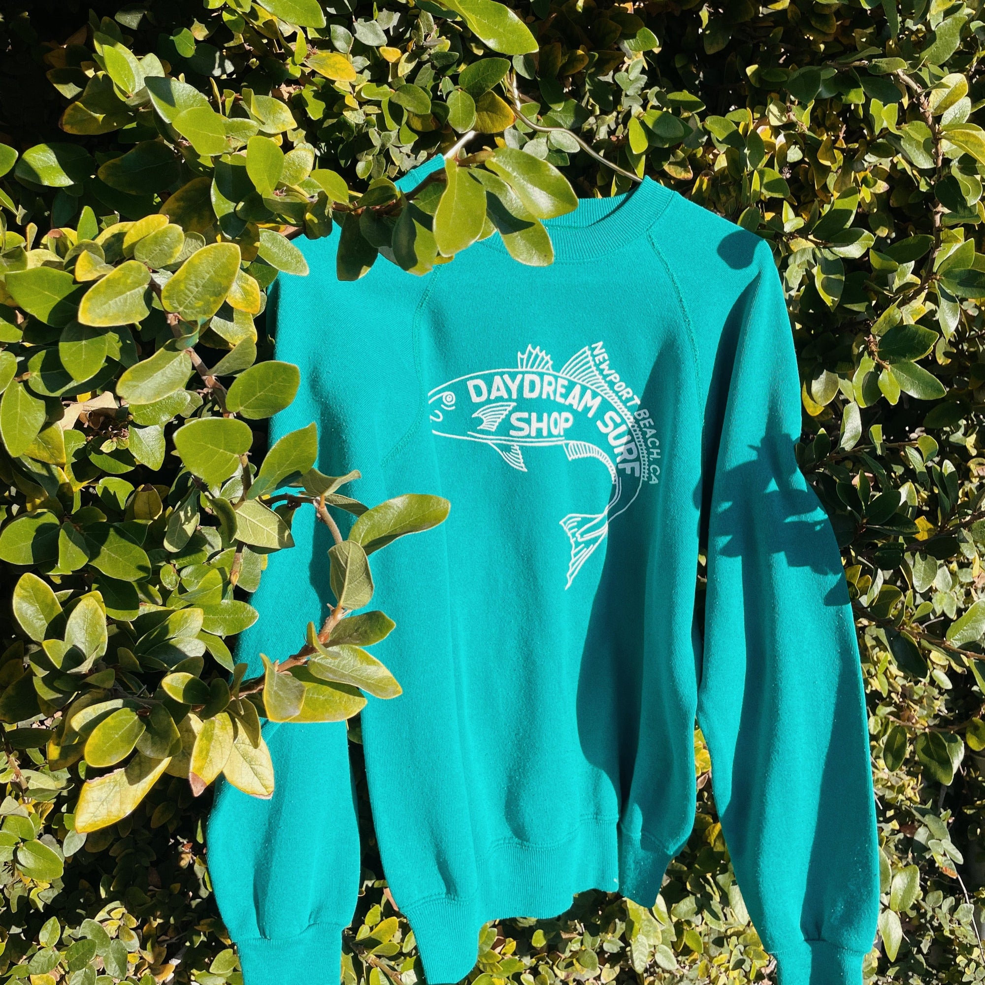 Daydream Fresh Catch Sweatshirt
