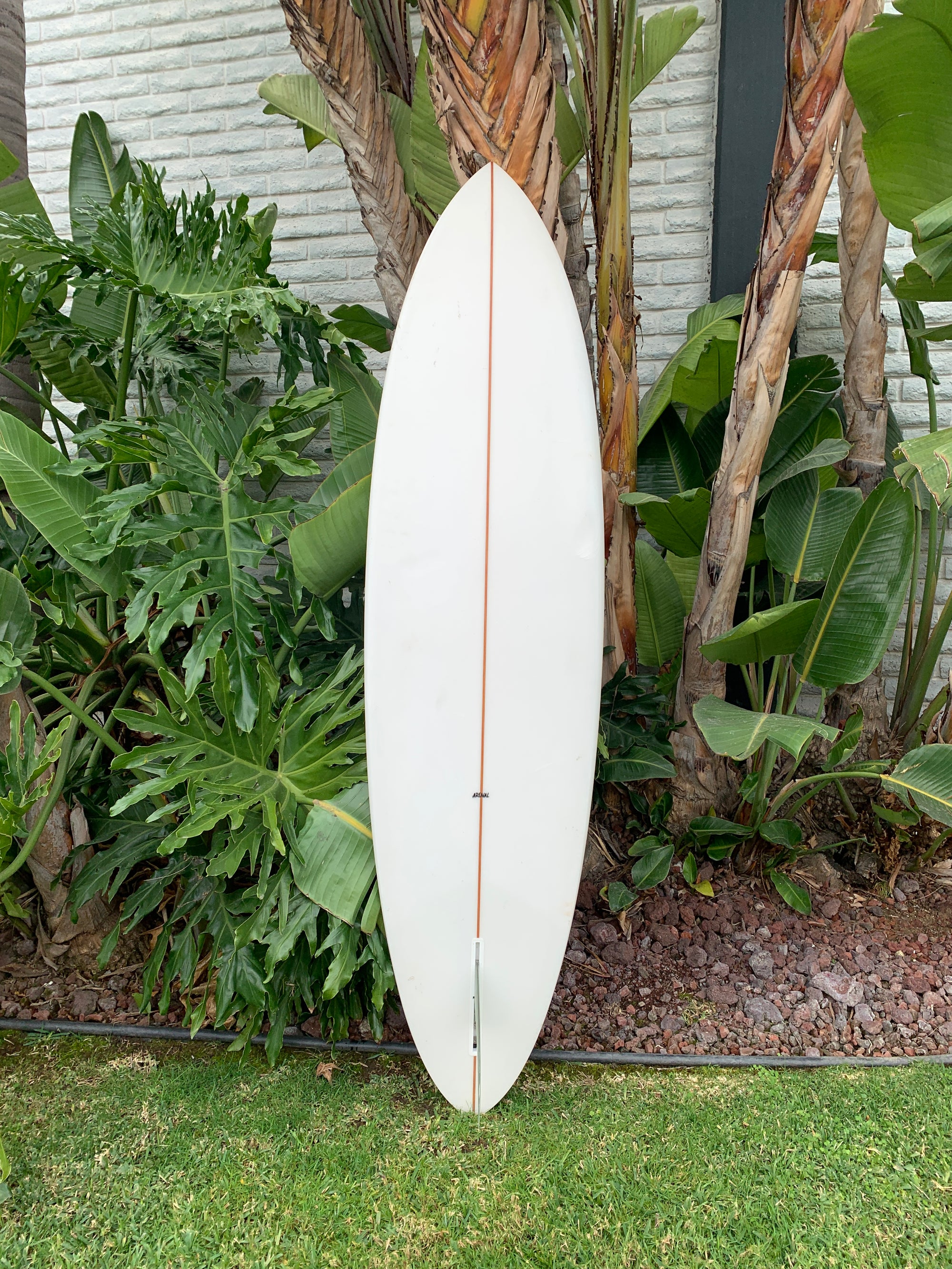 7'3" Arenal Speed Egg (Used)
