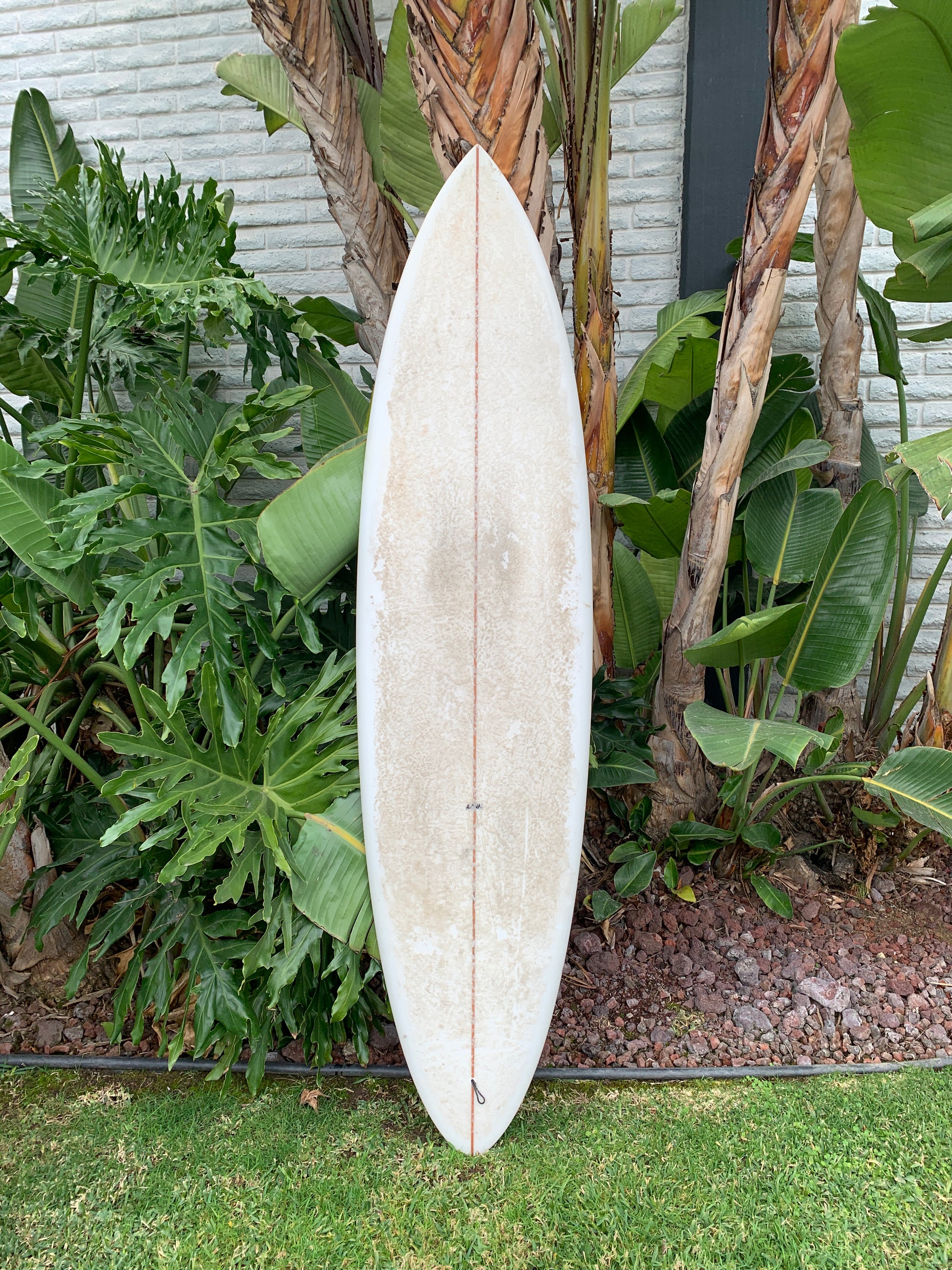 7'3" Arenal Speed Egg (Used)