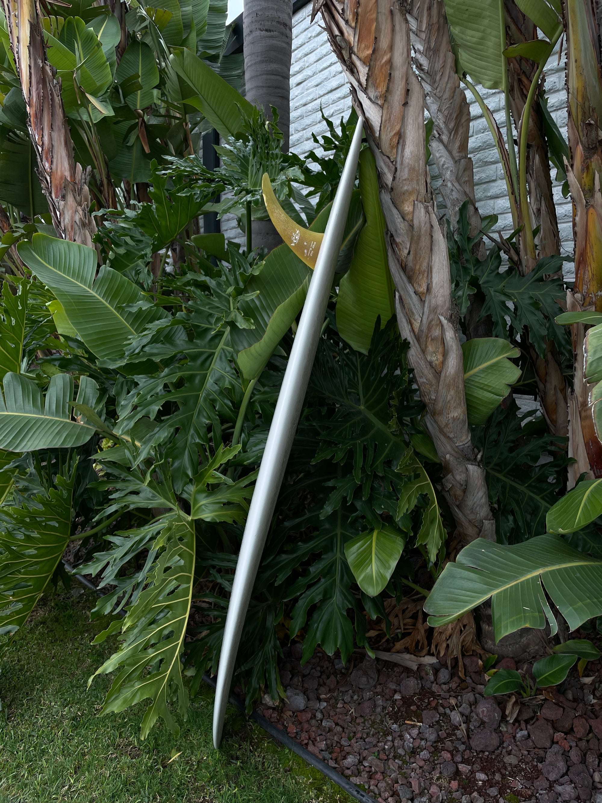 6'8" Liddle M3P (Used)