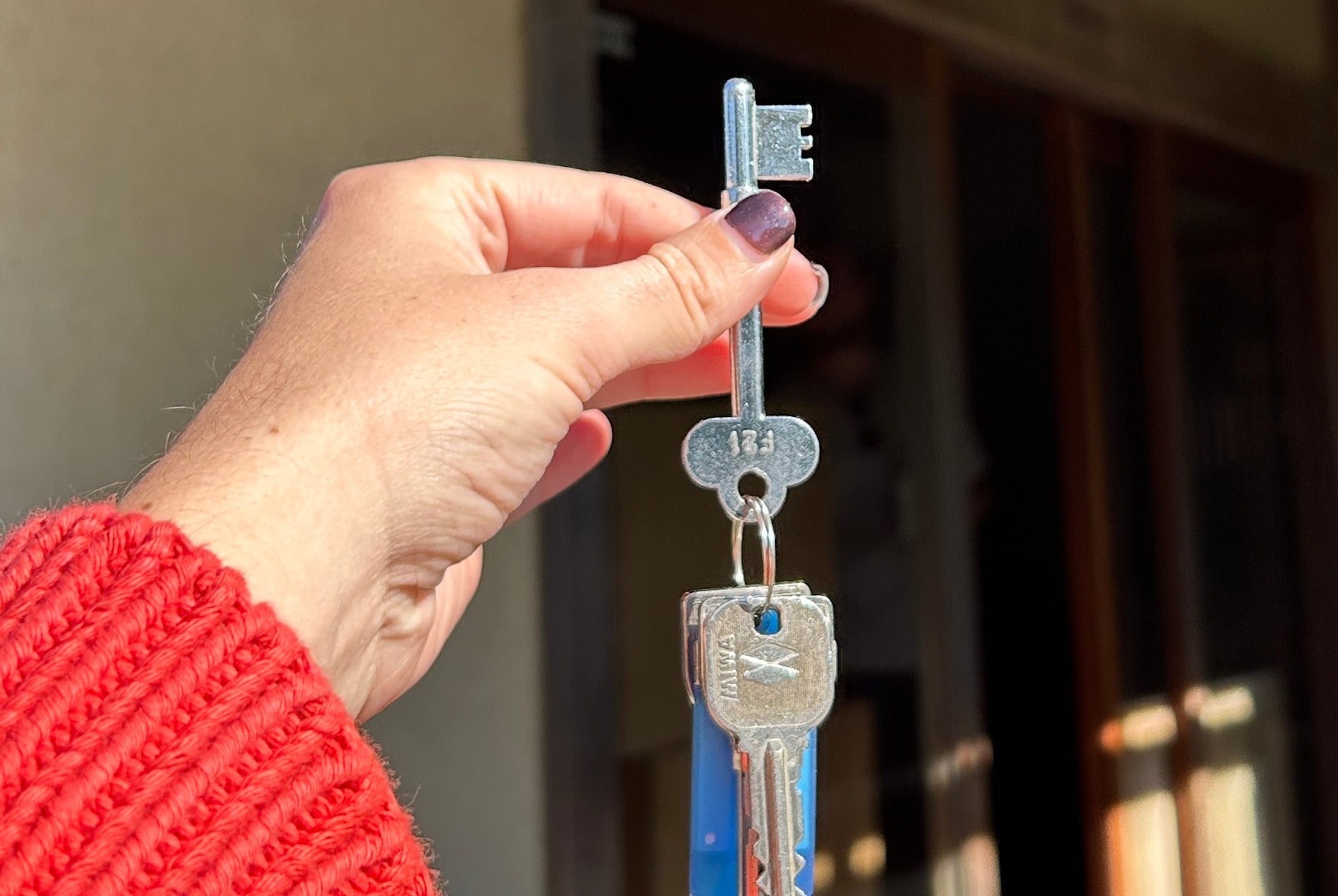 Announcement: Daydream Japan!