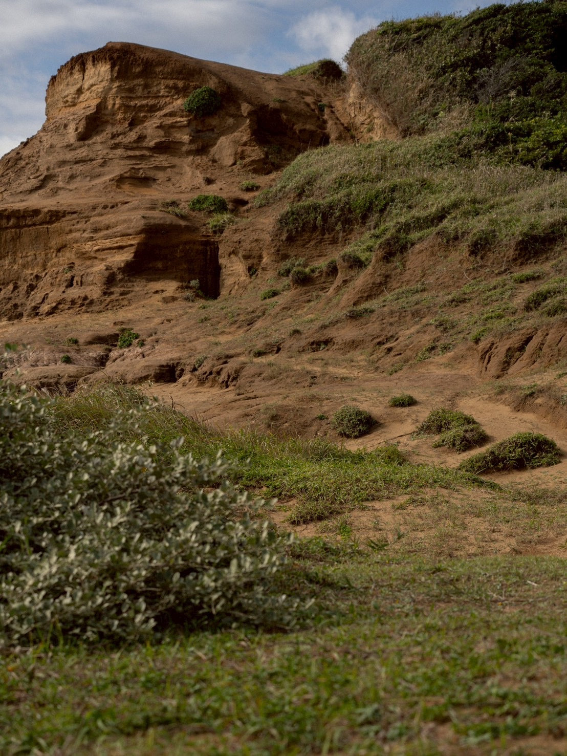 Daydream Harbor Trousers