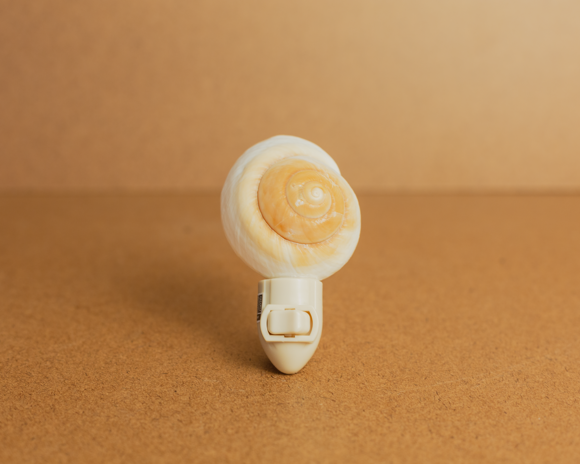 Seashell Nightlights
