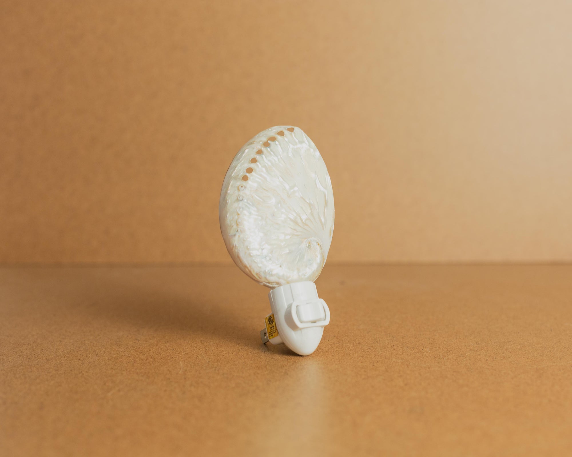 Seashell Nightlights