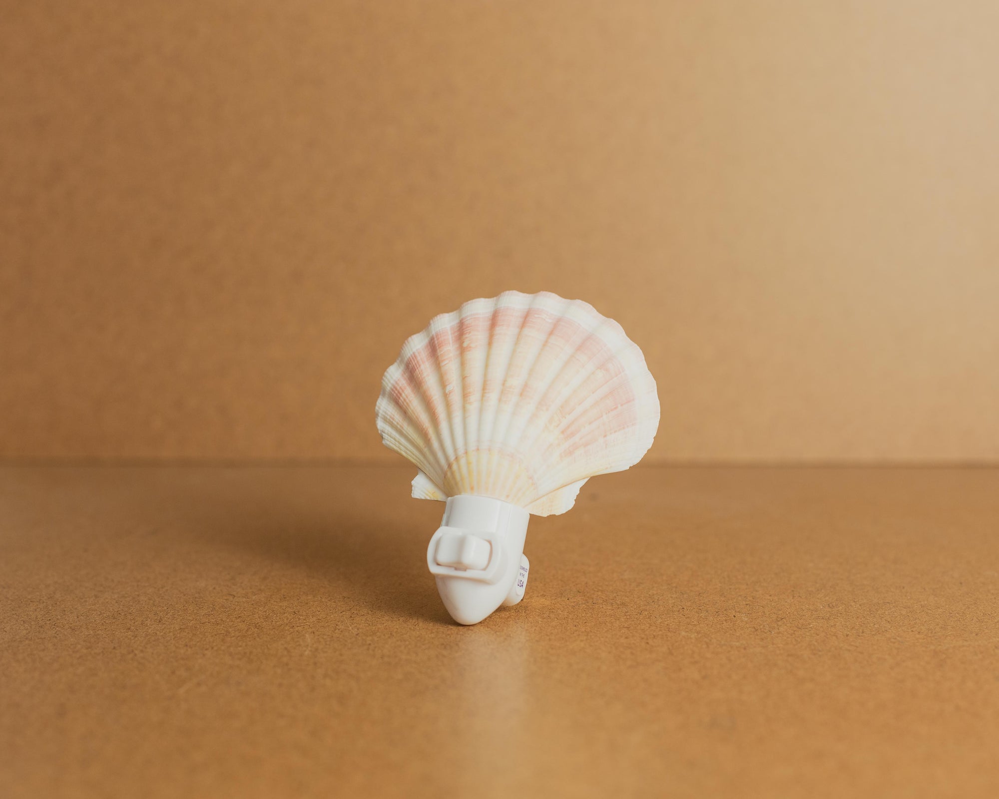 Seashell Nightlights