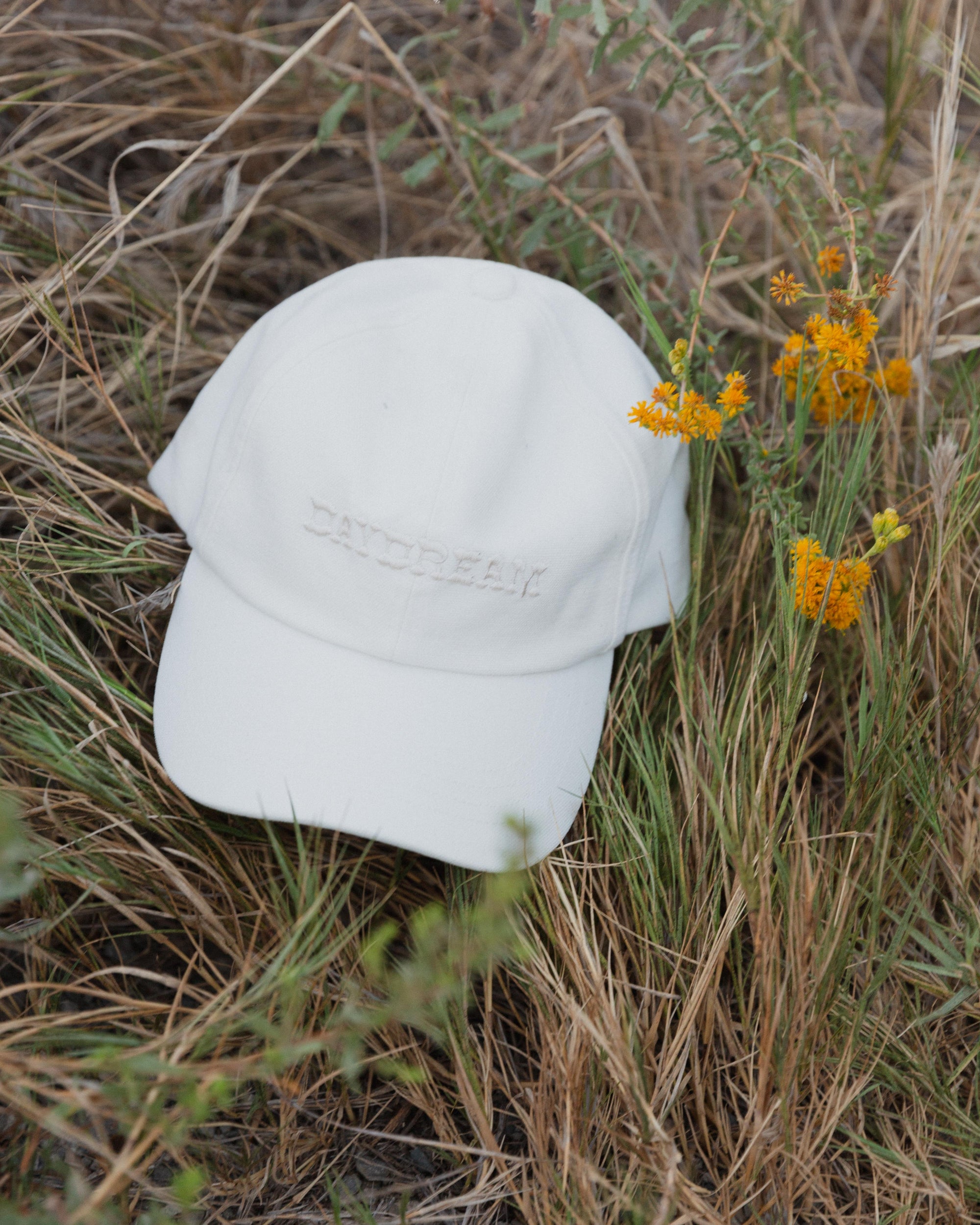 Daydream Cannery Washed Duck Cap
