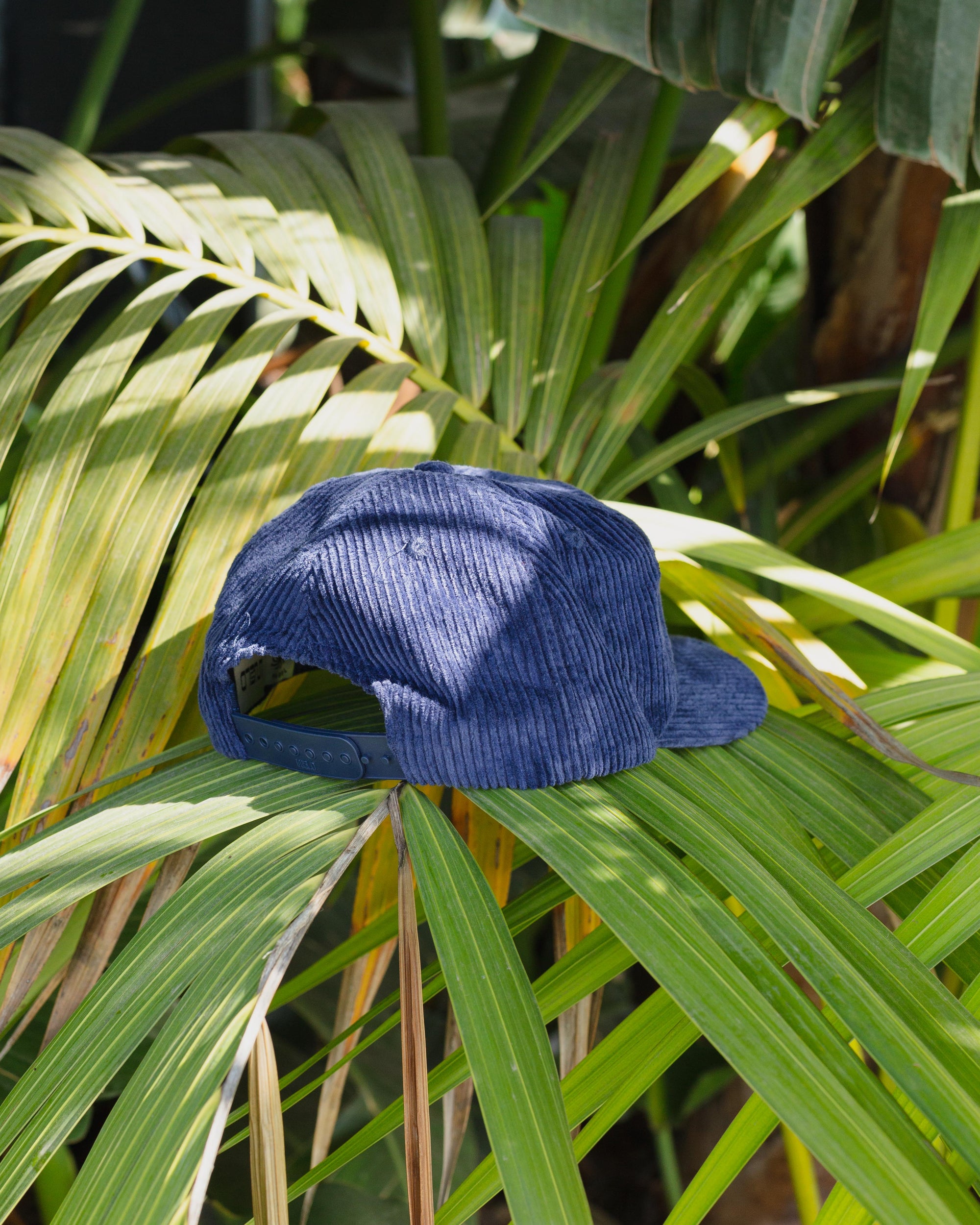 Daydream Embrace Hat