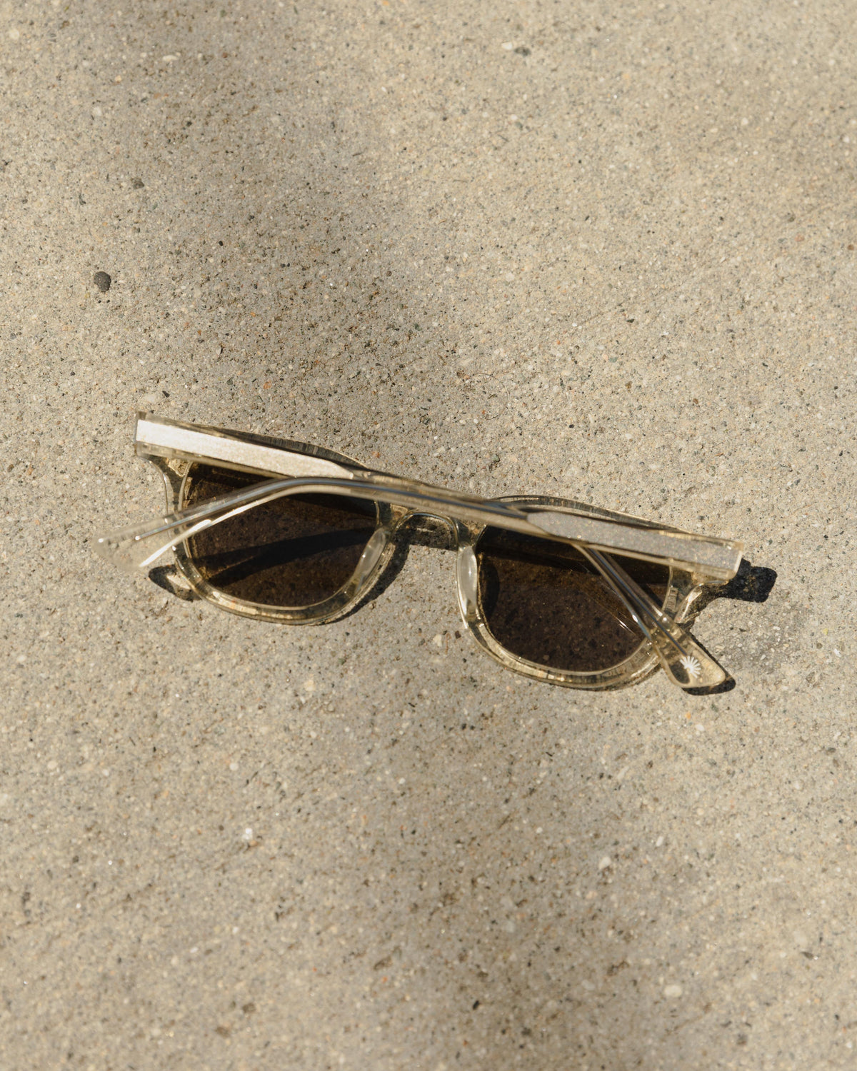 Daydream 1588 Sunglasses