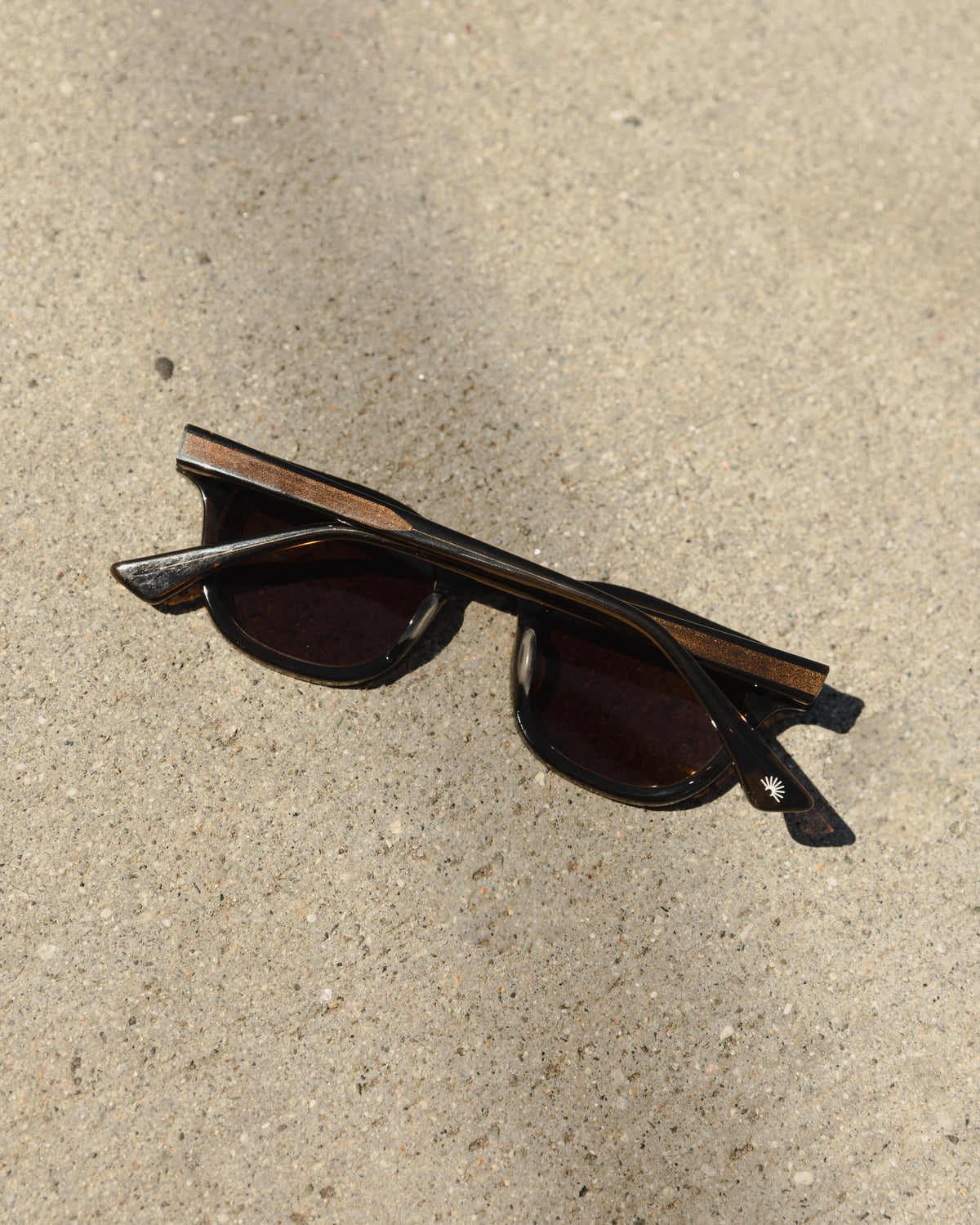 Daydream 1588 Sunglasses