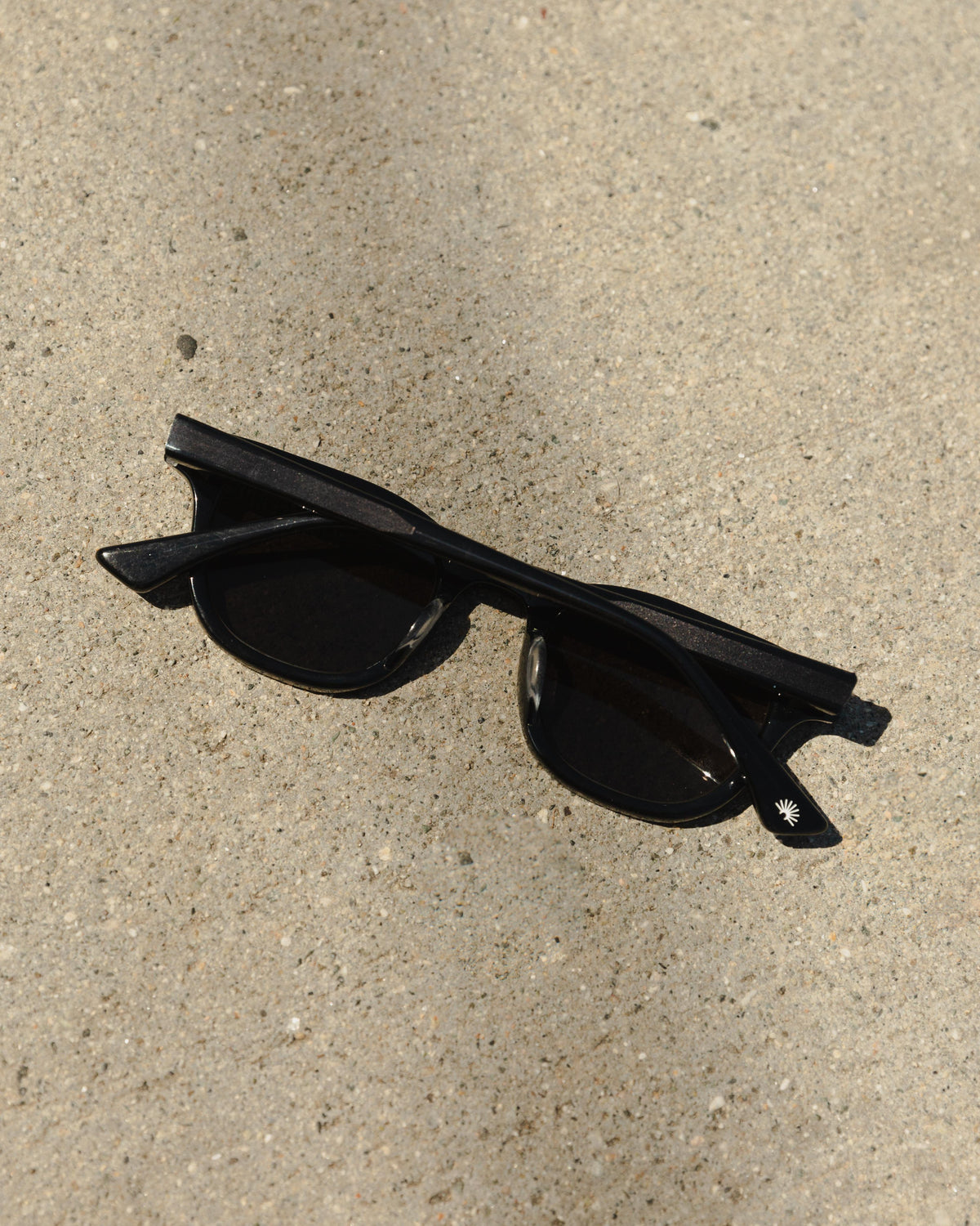 Daydream 1588 Sunglasses