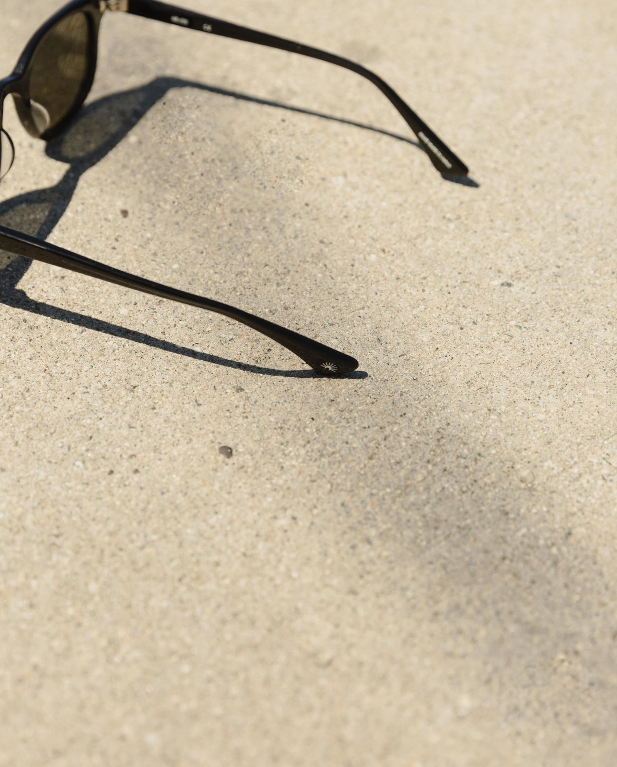 Daydream 1588 Sunglasses