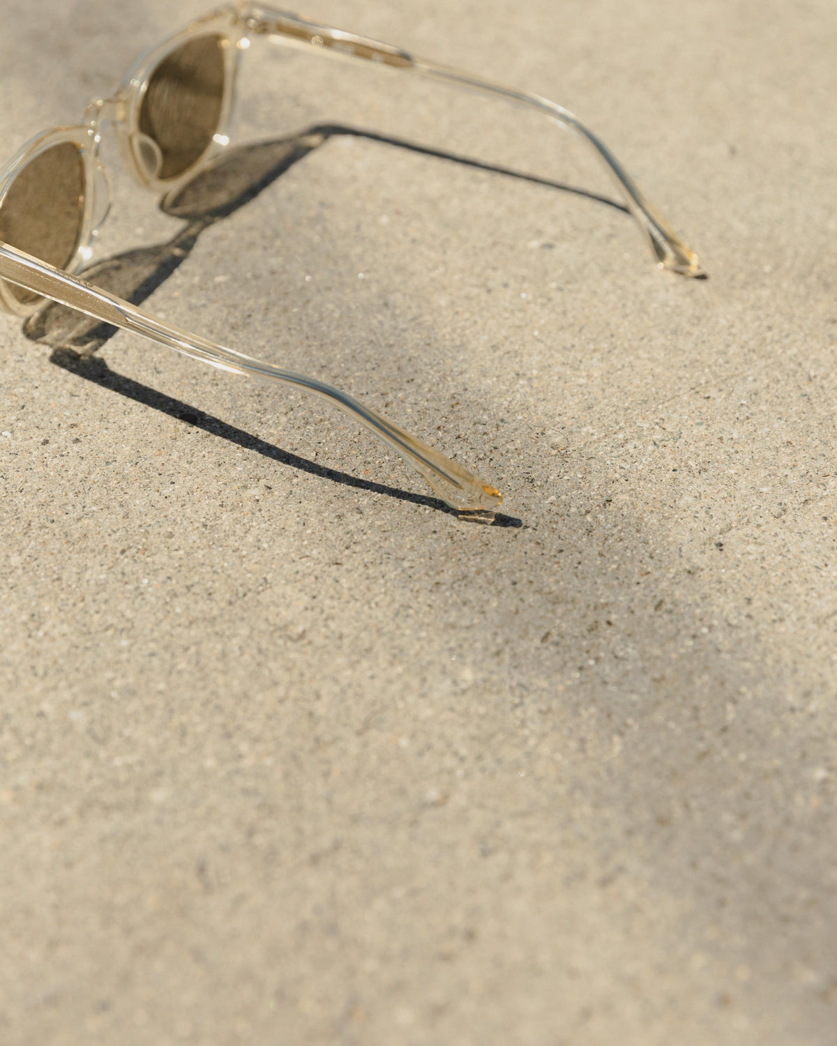 Daydream 1588 Sunglasses