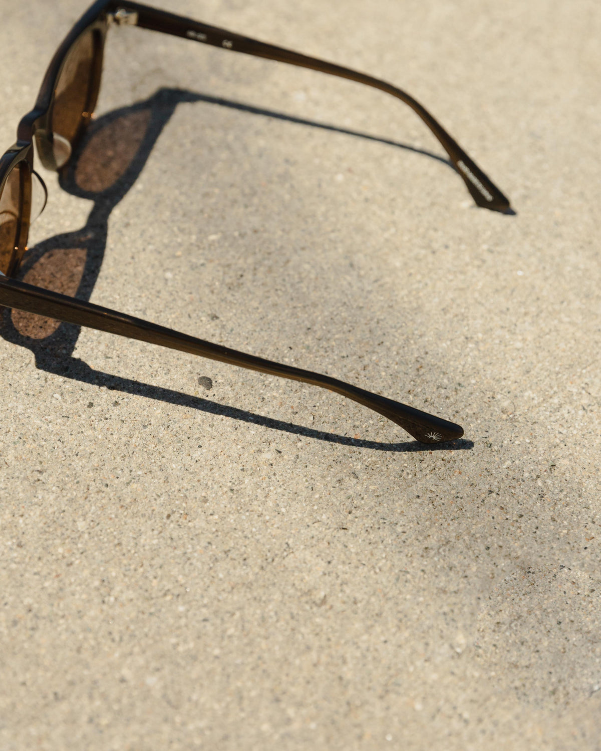 Daydream 1588 Sunglasses