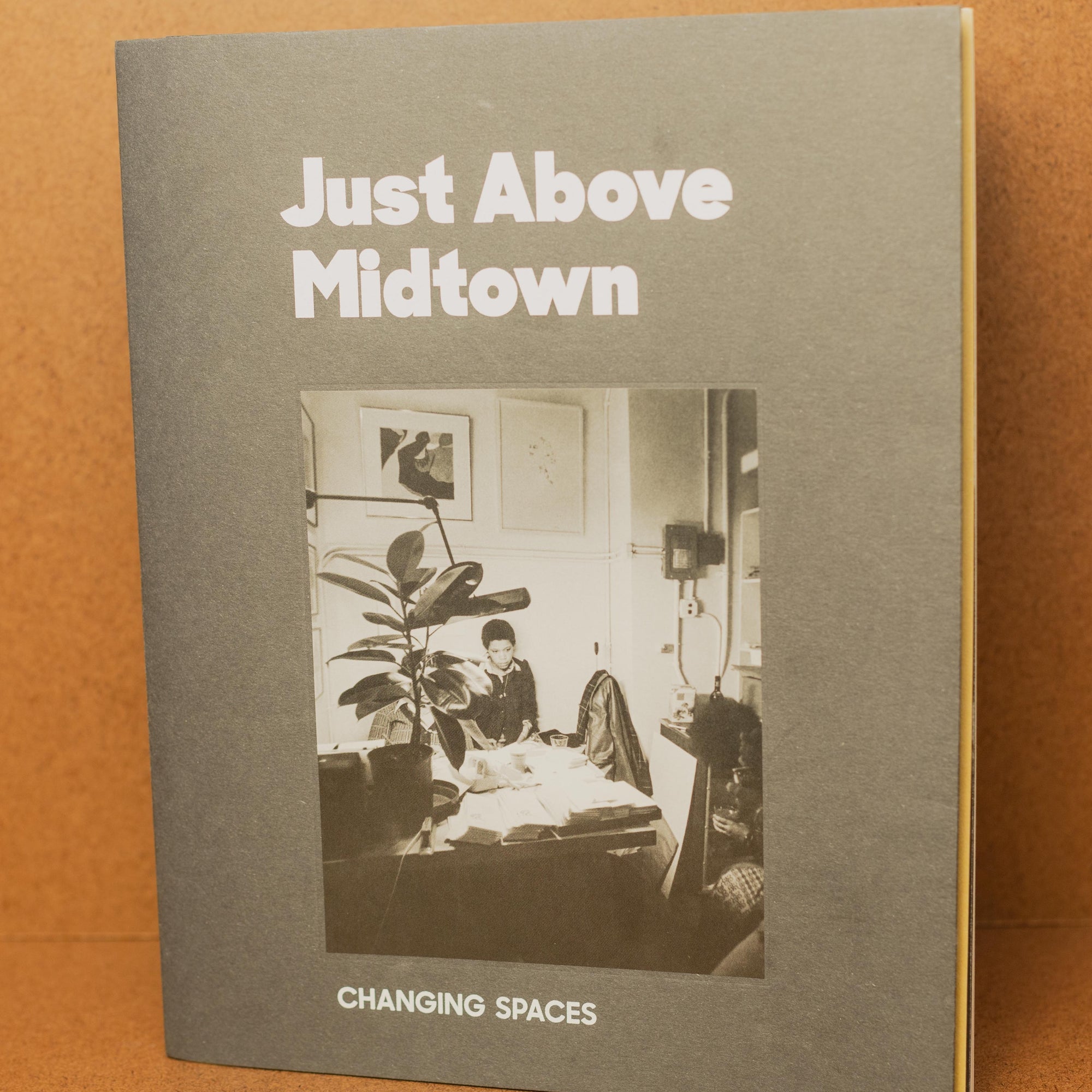 Just Above Midtown: Changing Spaces