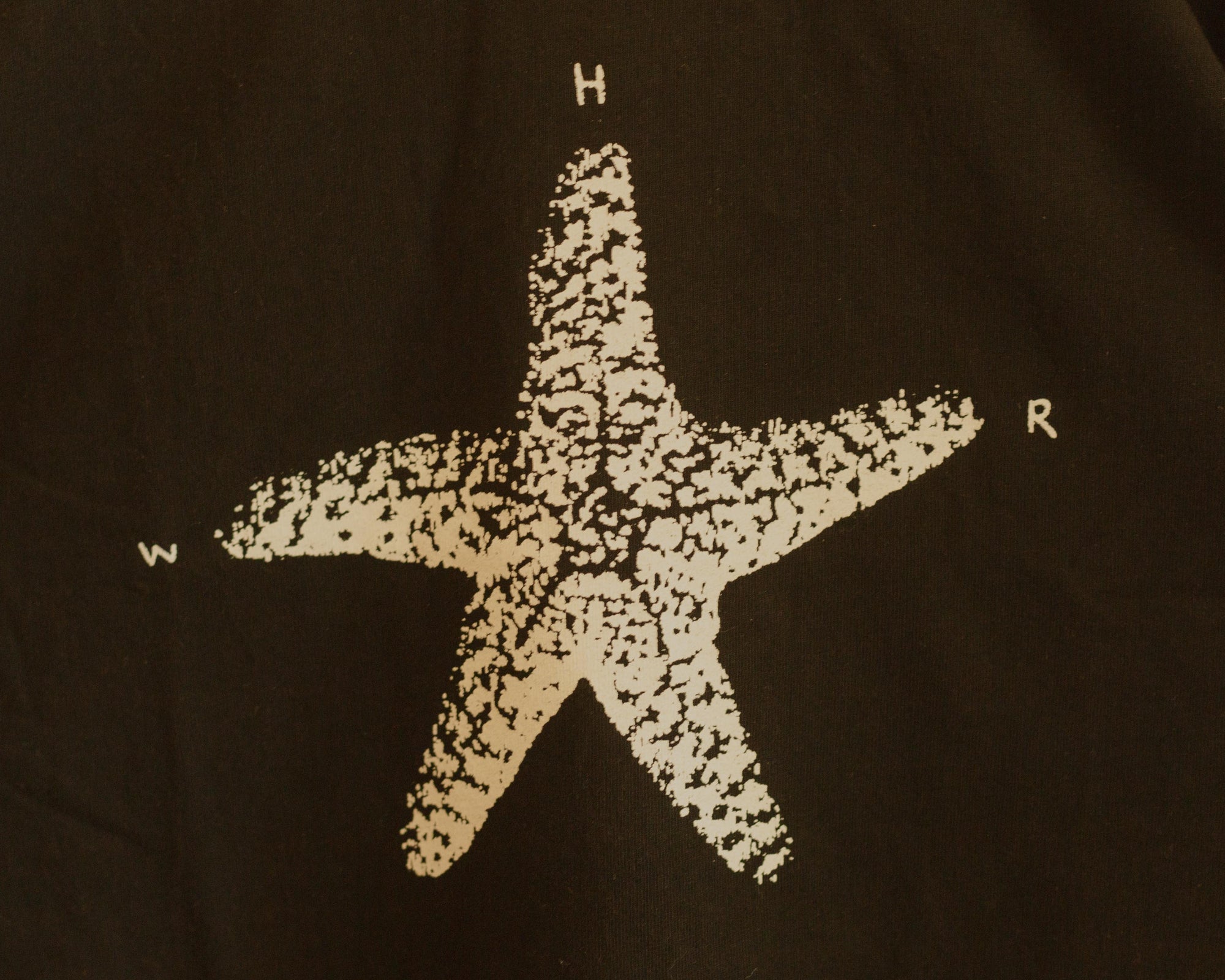 Western Hydrodynamic Research - Starfish Tee graphic close up