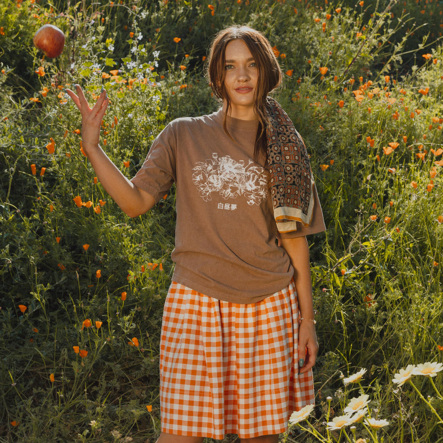 Plaid Skirt and Brown Tee with Apple