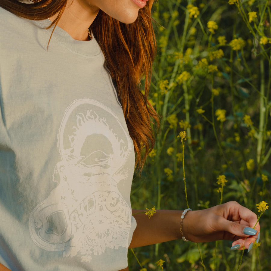 Vintage Graphic Dolphin Tee in Light Blue