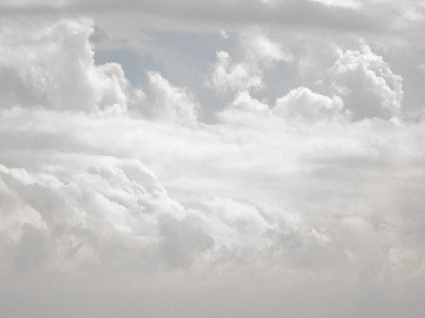 Daydream Lido Mohair Cardigan