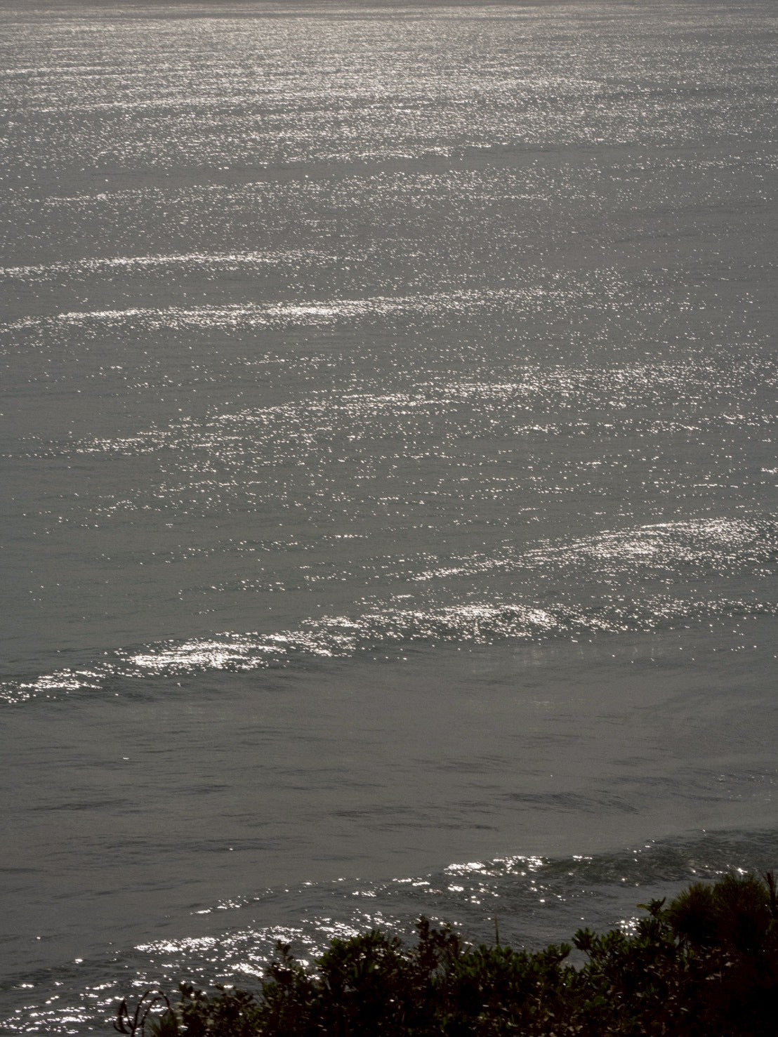 Daydream Lido Mohair Cardigan