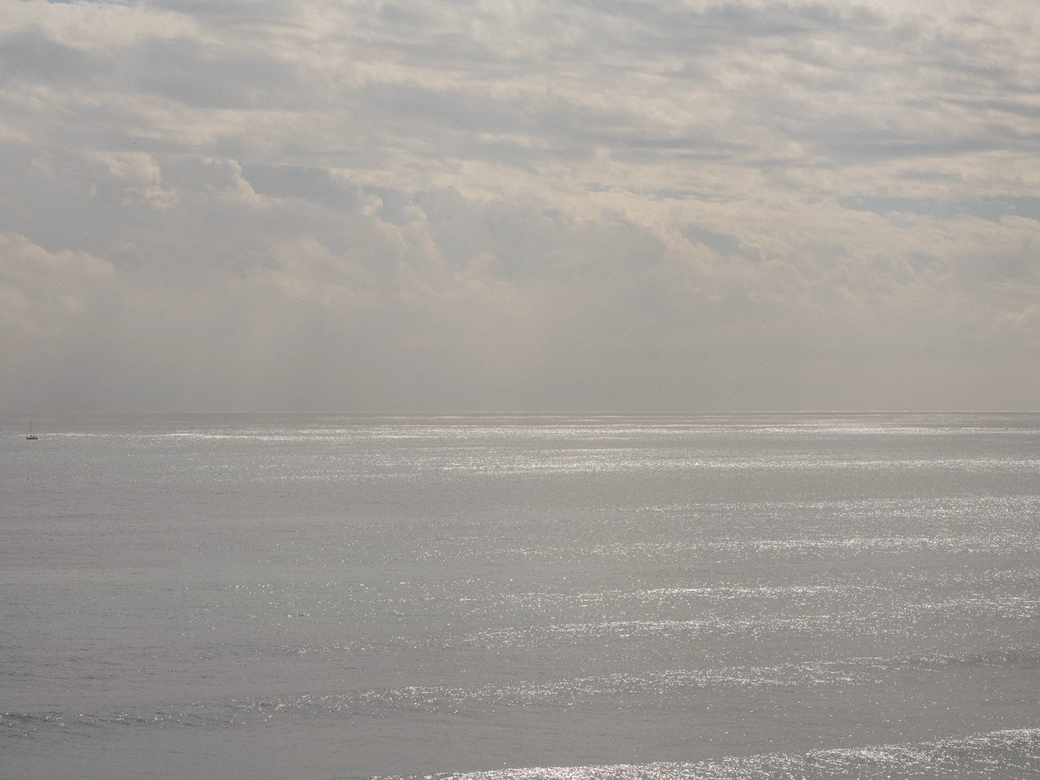 Daydream Newport Crew