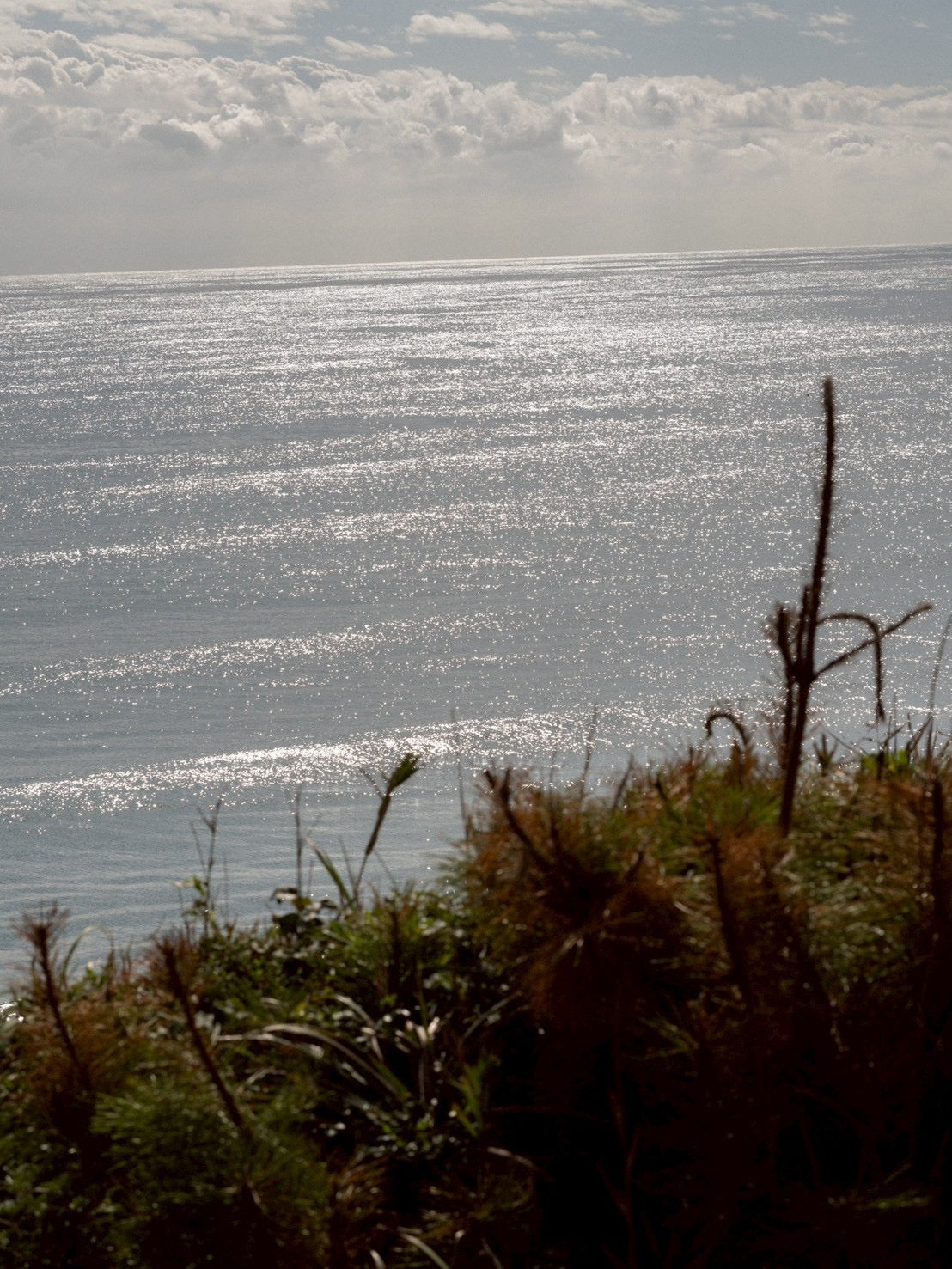 Daydream Dock Work Pant