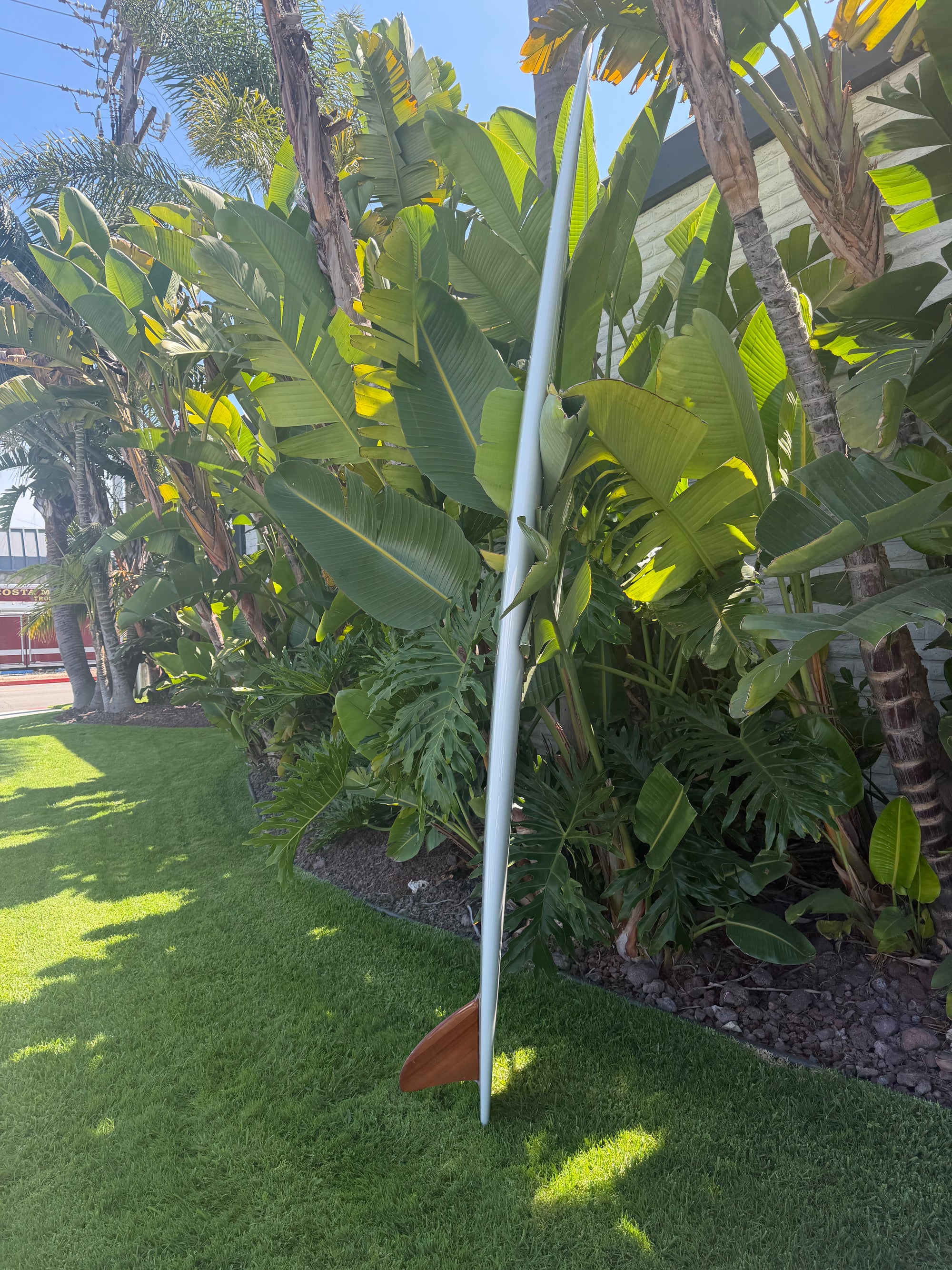 9'10" Tanner Baby Deluxe