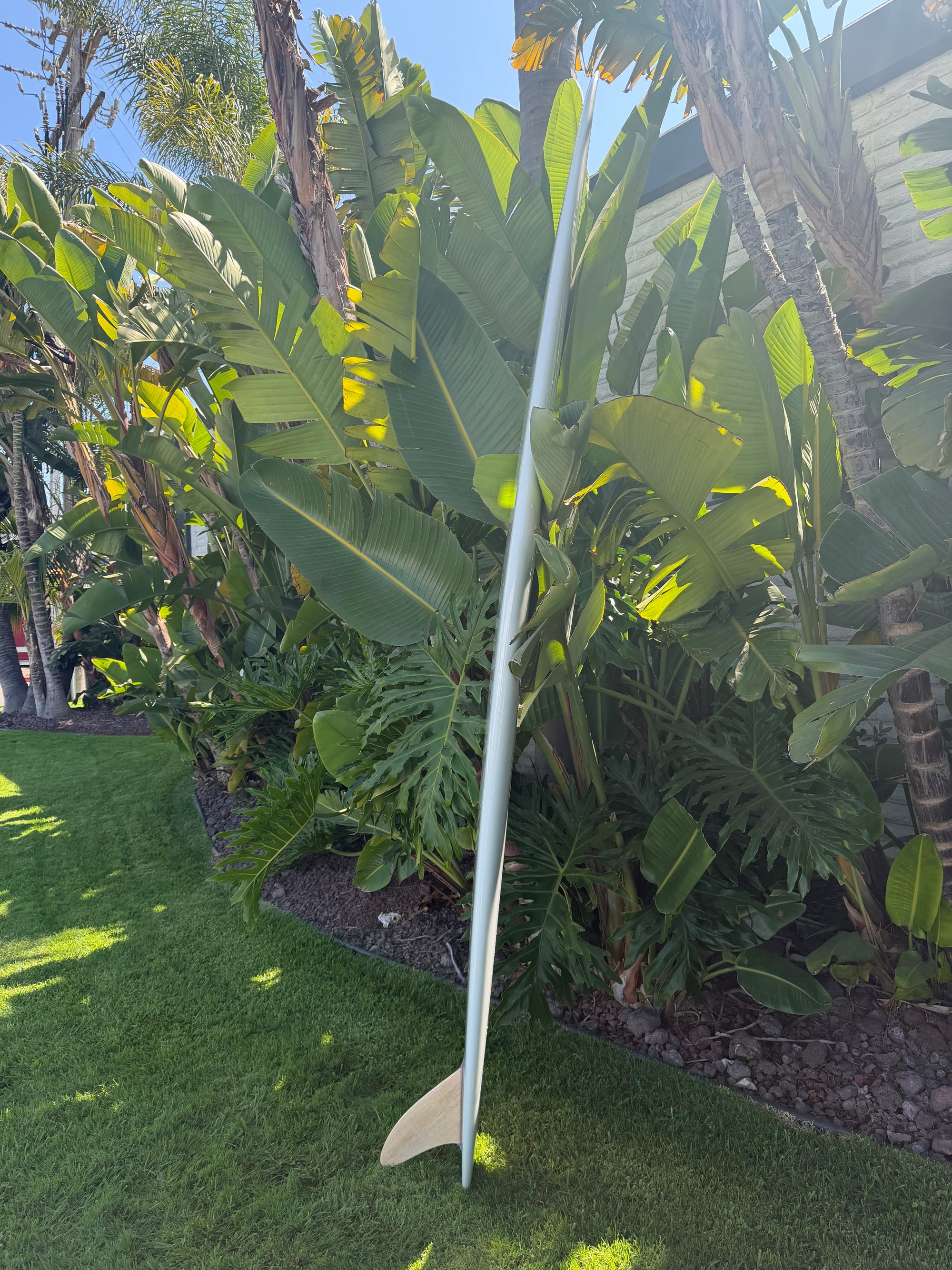 9'6" Tanner Dash Deluxe