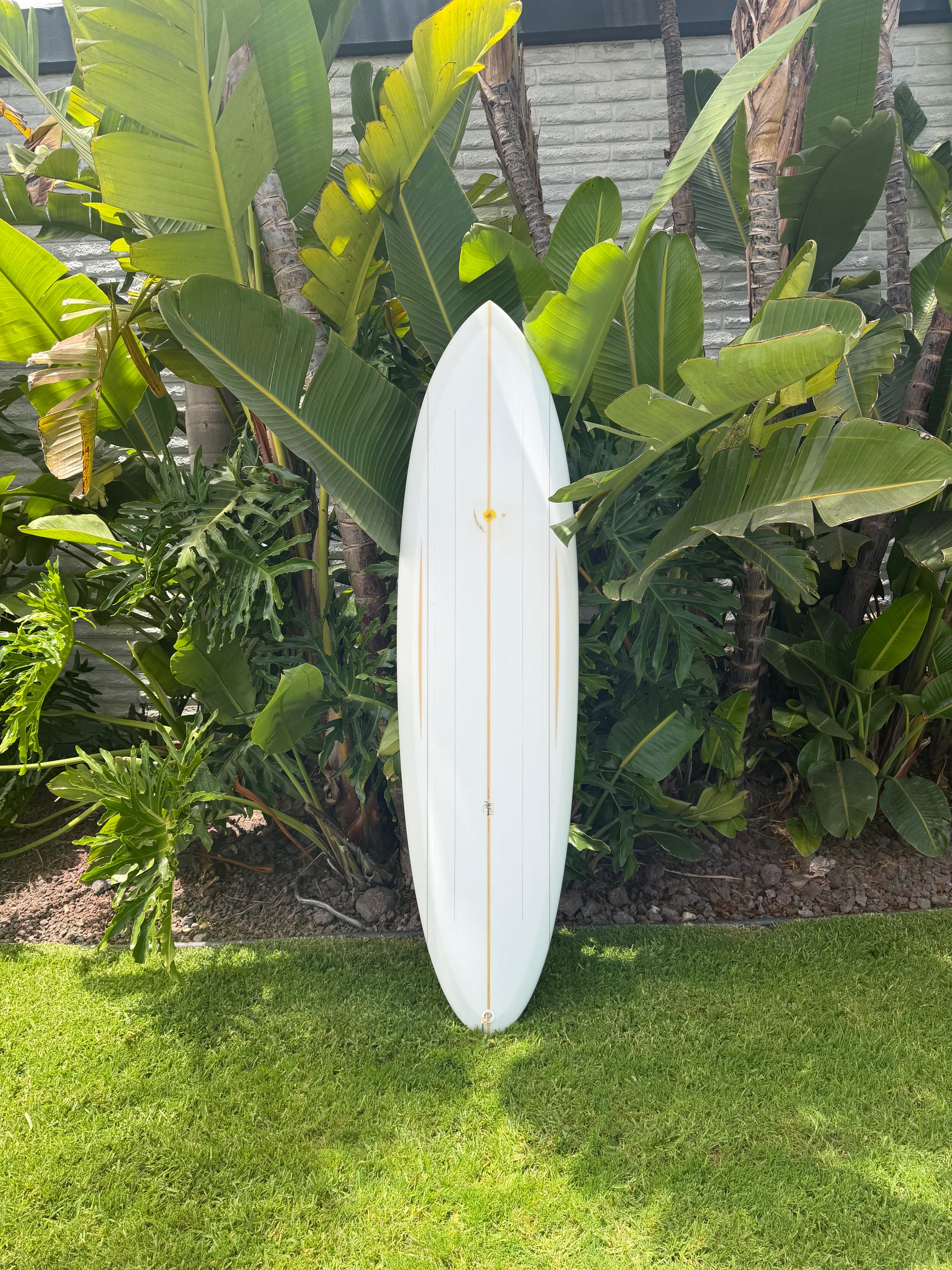 6'8" Jeff Svoboda Tarotplane