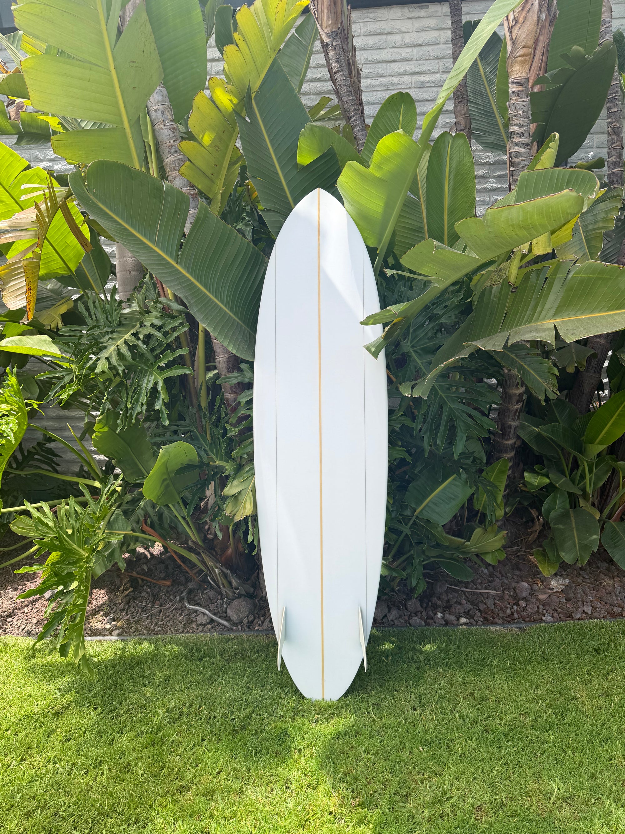 6'8" Jeff Svoboda Tarotplane