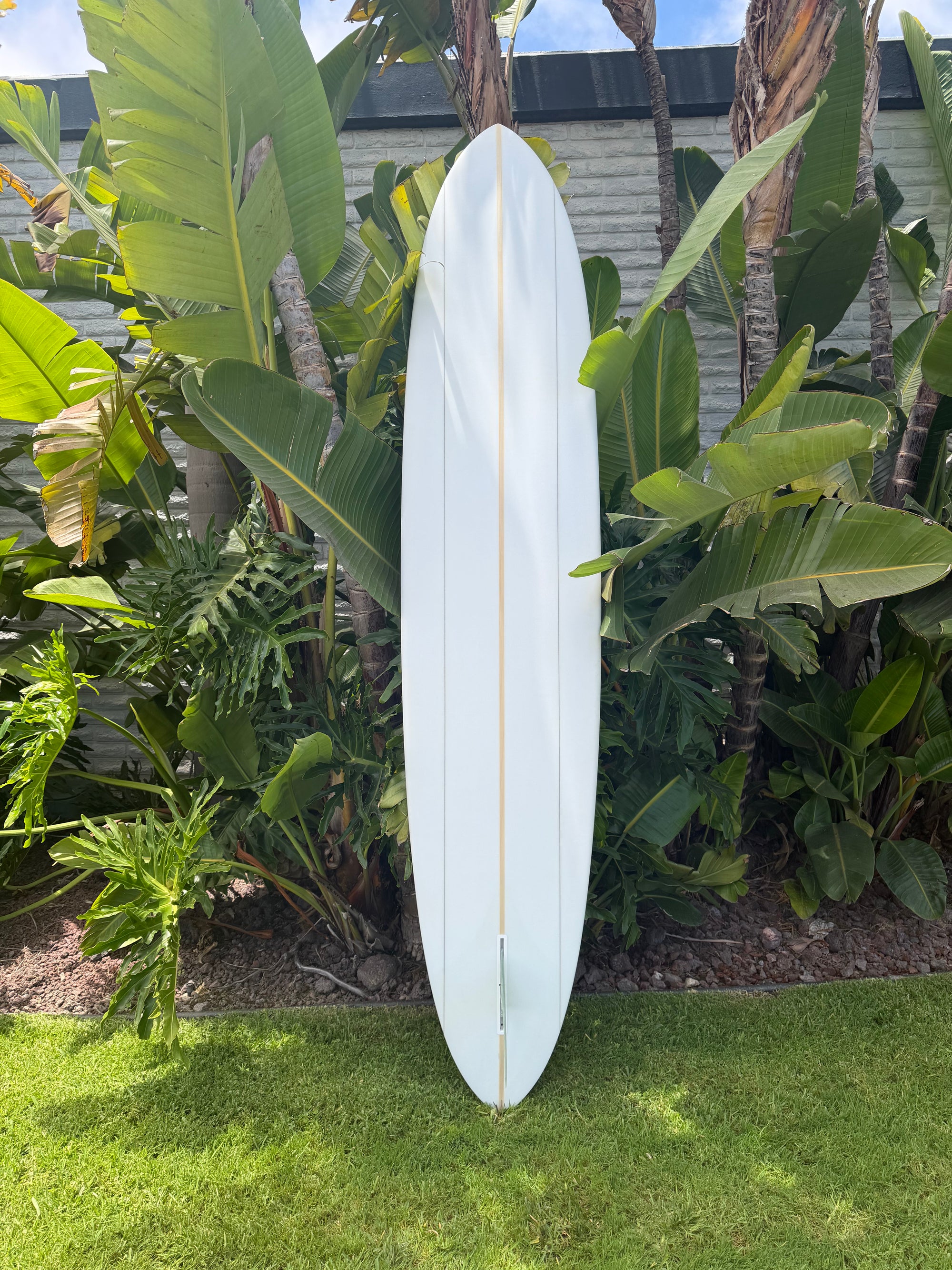 9'3" Jeff Svoboda Billie Jean