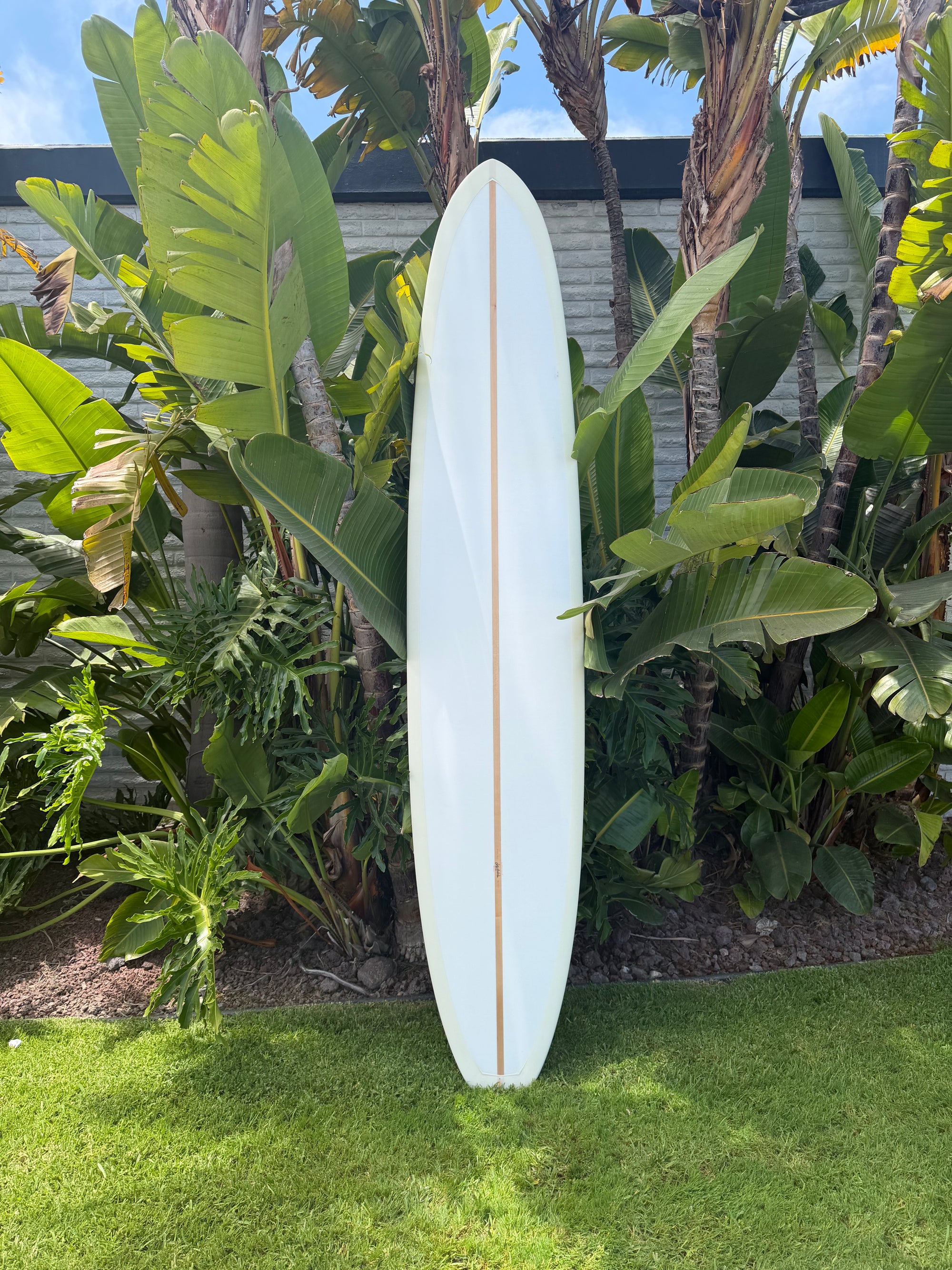 9'10" Jeff Svoboda Bongomon