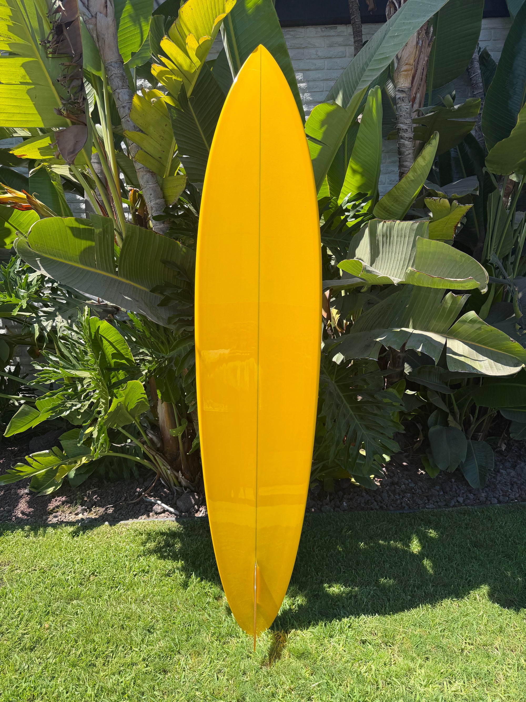 7'11" Dick Brewer Pintail