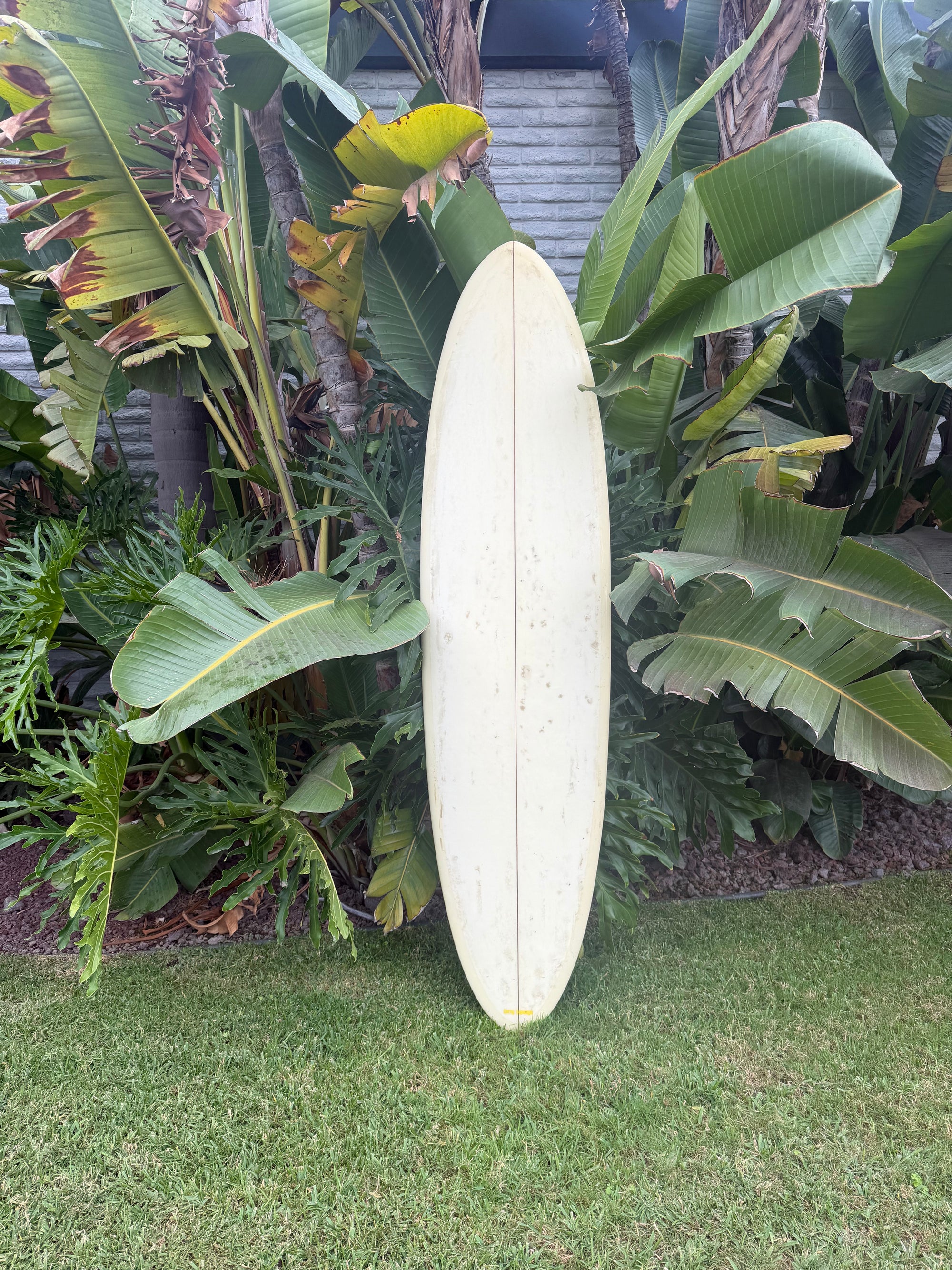7'4" Terry Topanga Personal (Used)