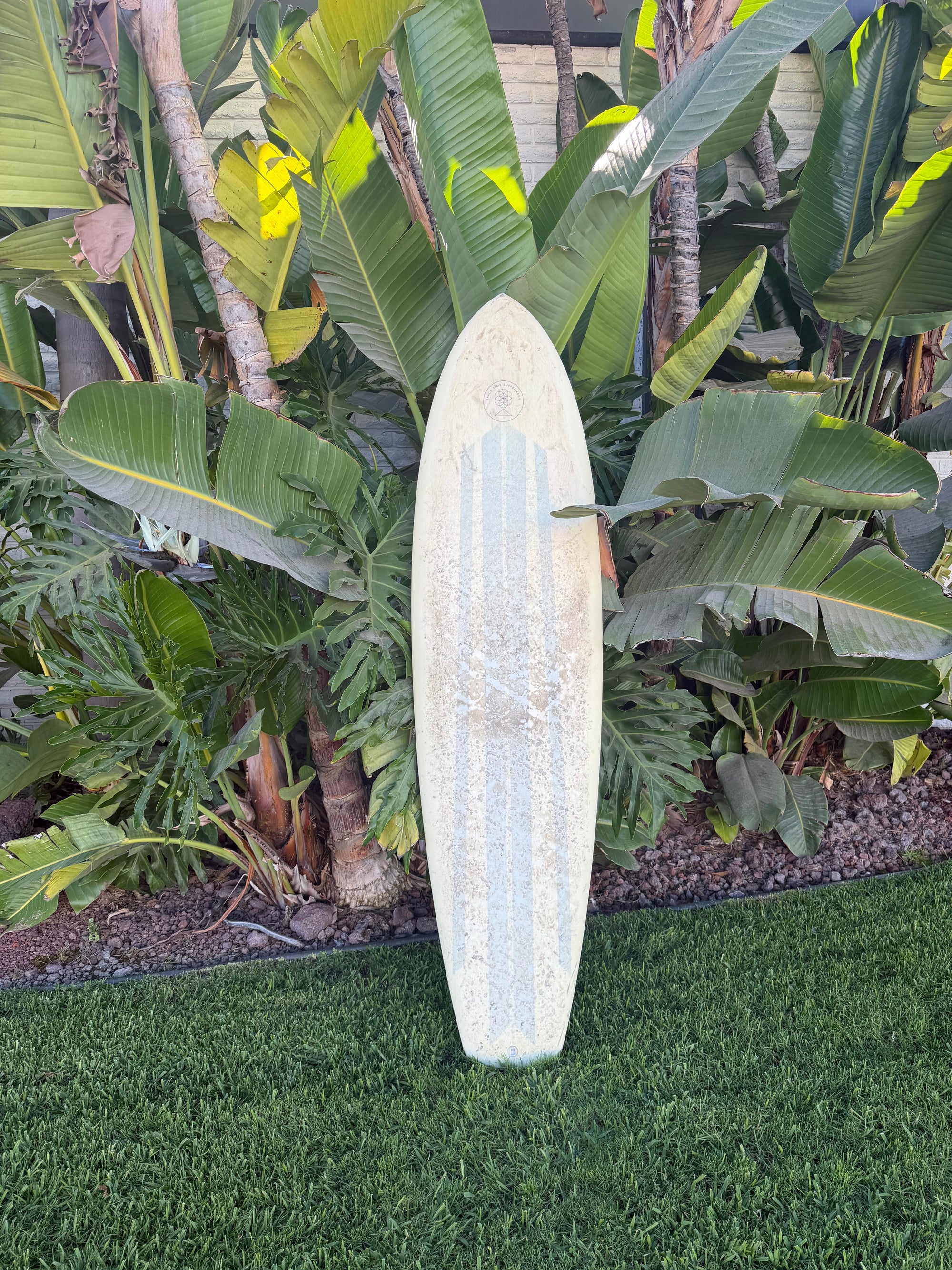 6'8" Spacetime Dharma Kitten (Used)