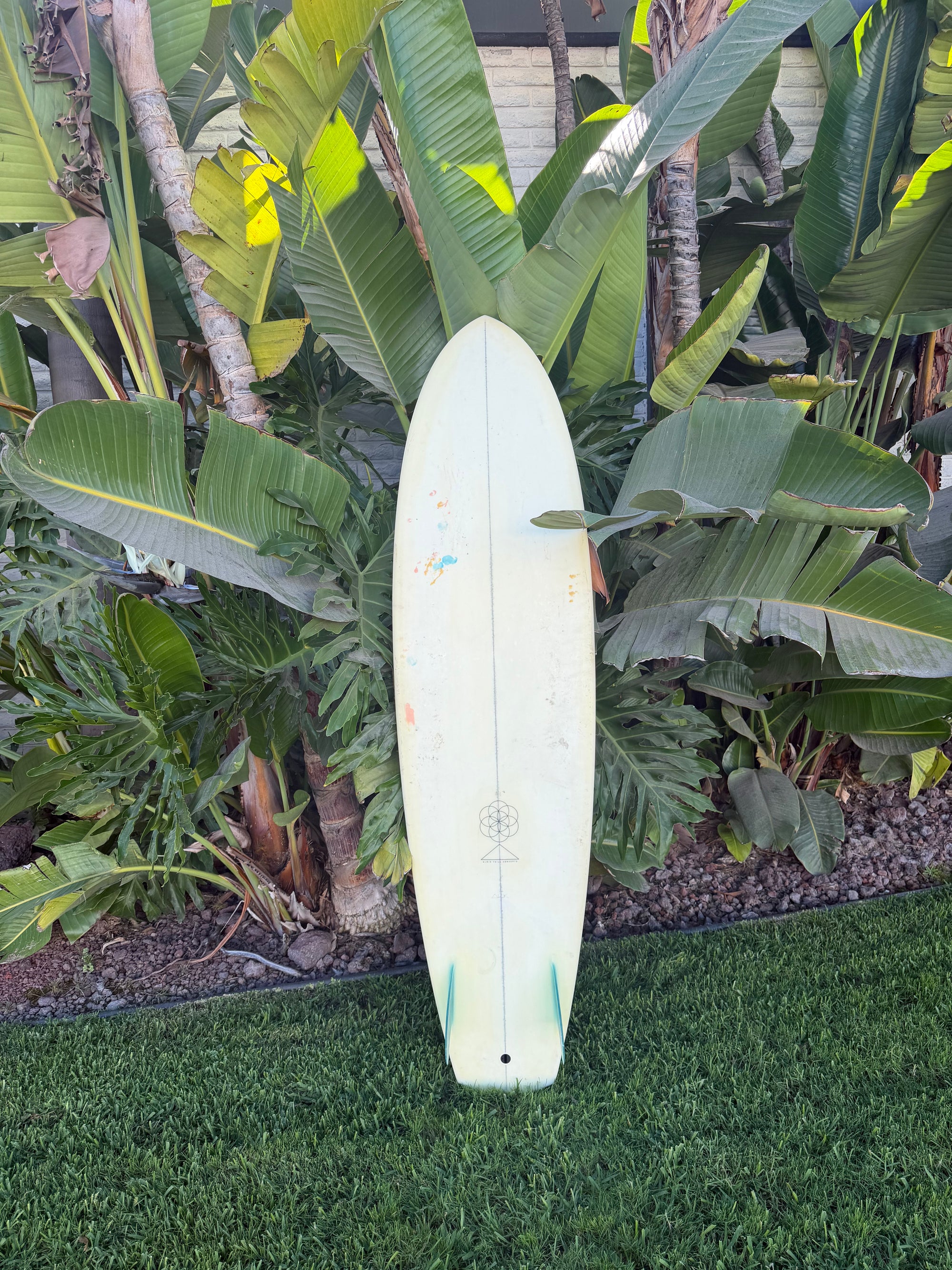 6'8" Spacetime Dharma Kitten (Used)