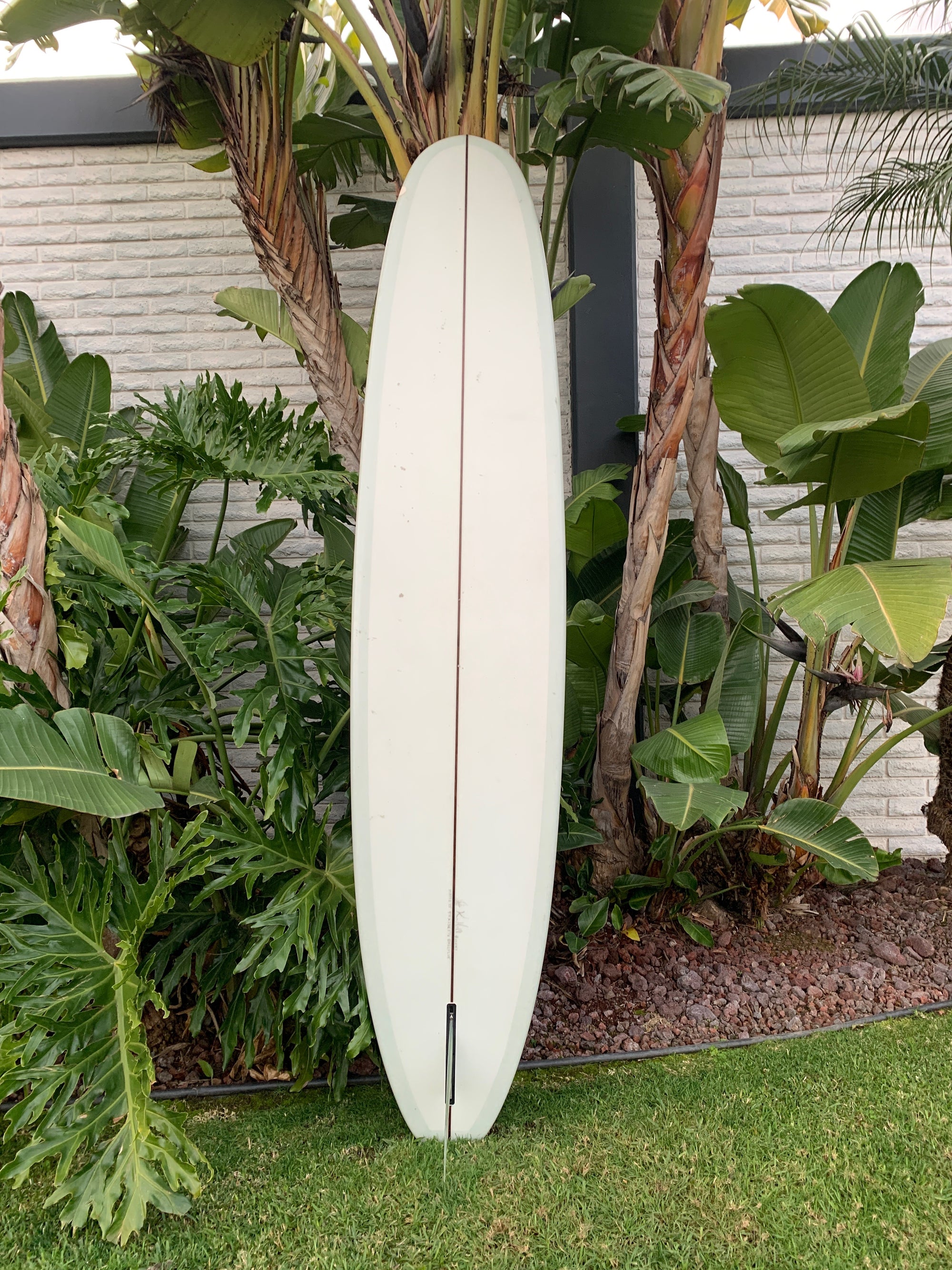 9&#39;4&quot; Kris Hall Daily Cup (Used)