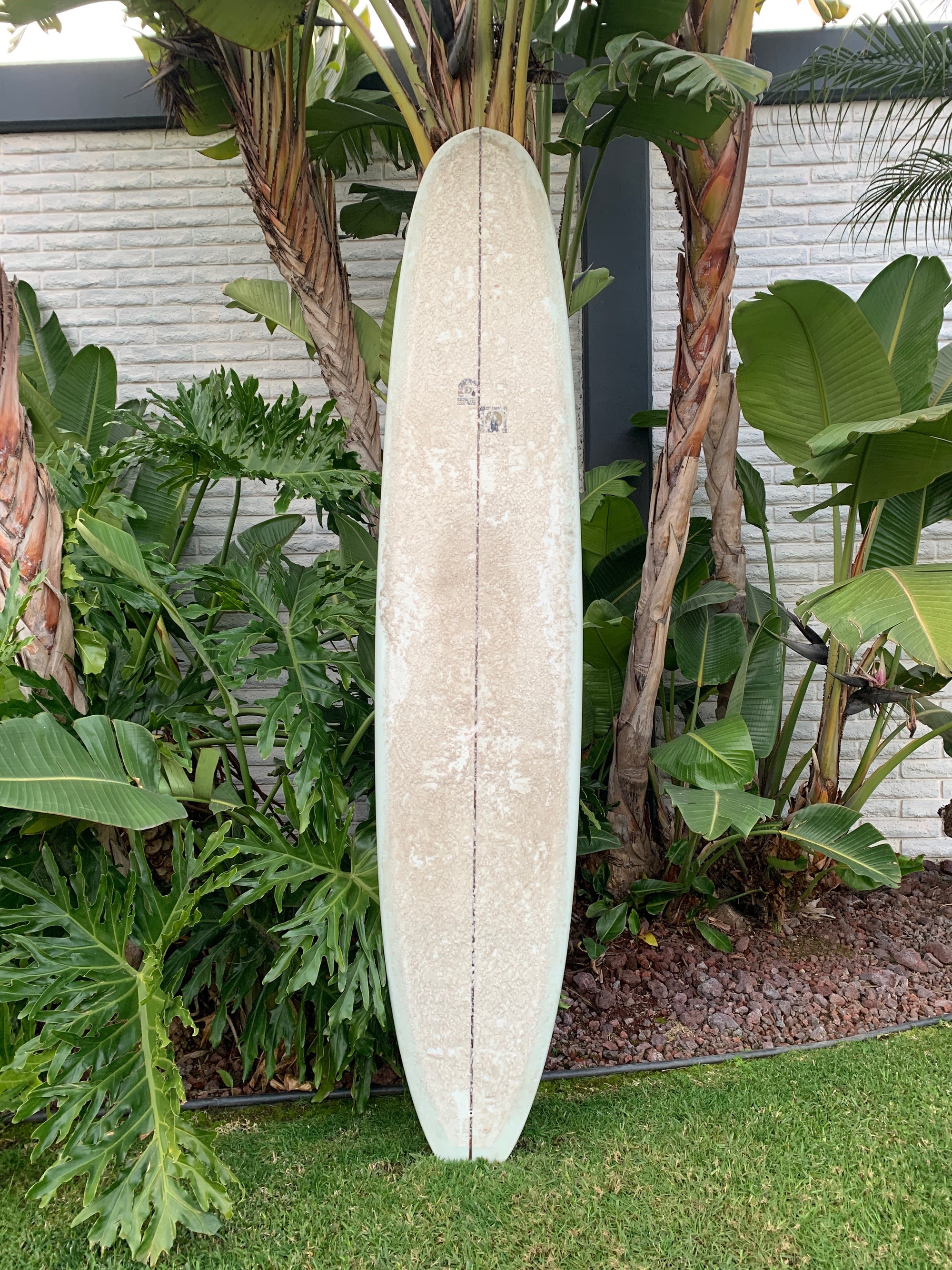 9&#39;4&quot; Kris Hall Daily Cup (Used)