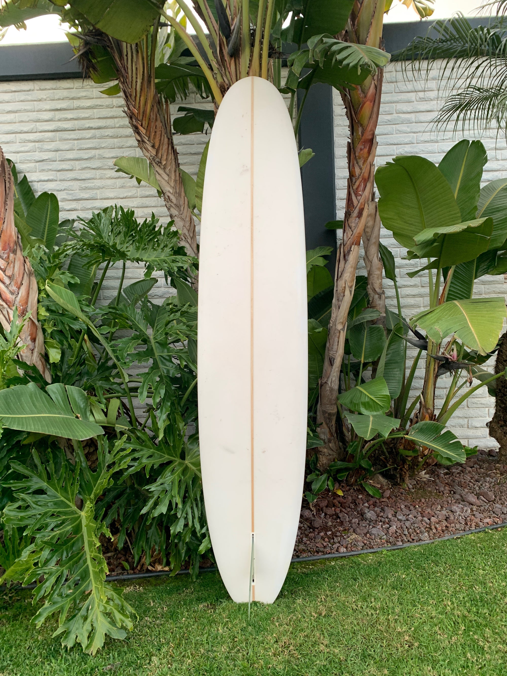 9&#39;5&quot; Schroeder Pepper Tree (Used)