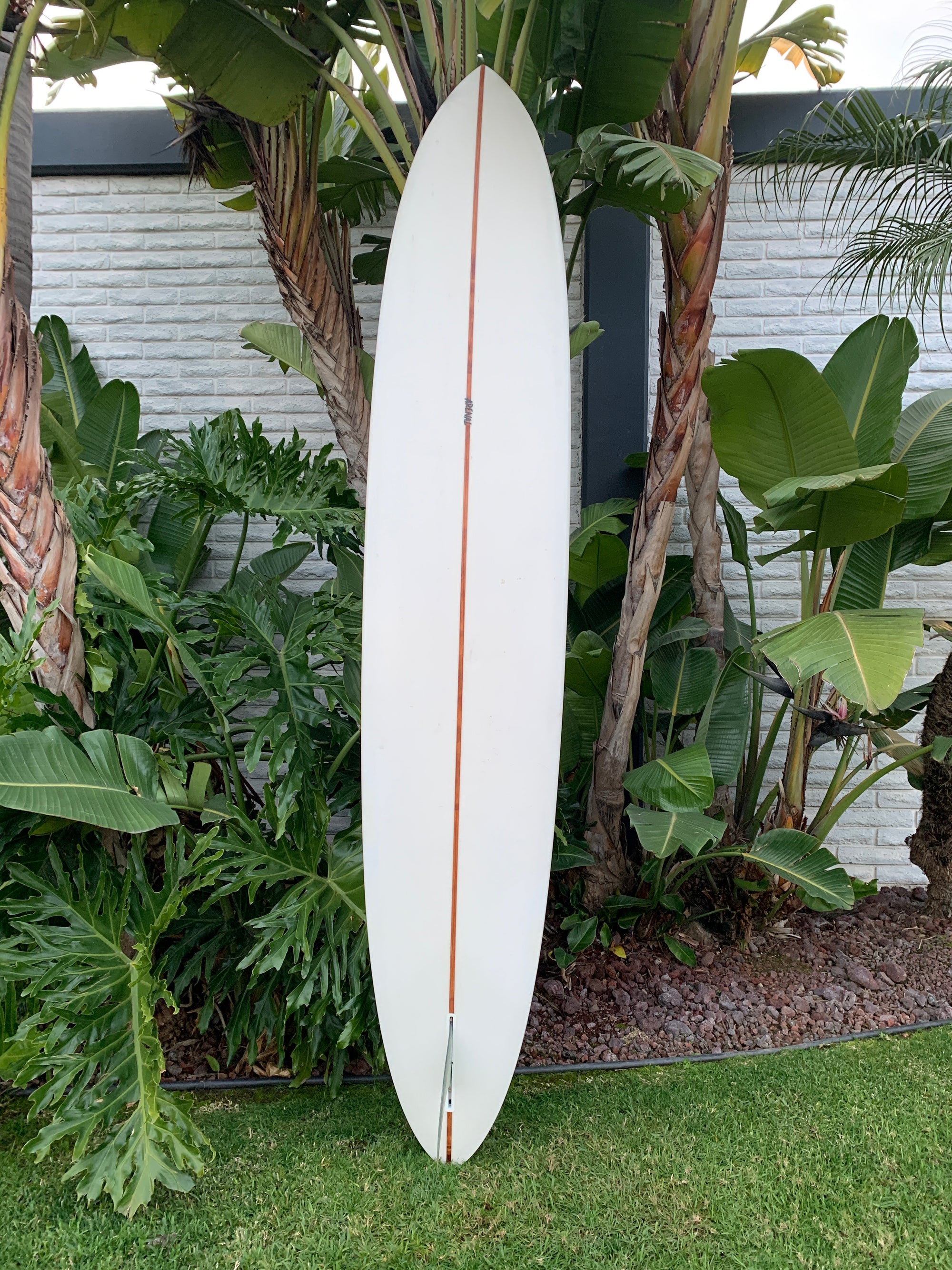 10&#39;6&quot; Arenal Glider (Used)
