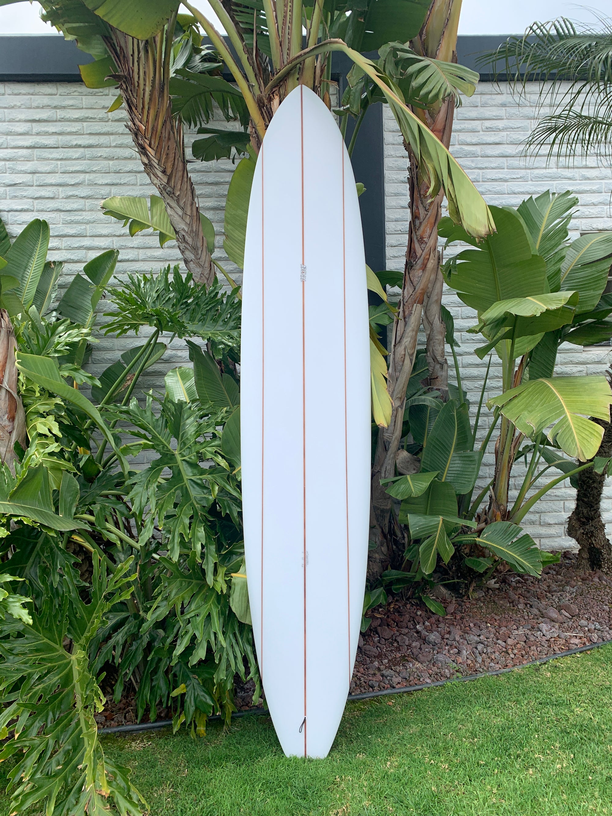 Arenal 9'6" Surfboard