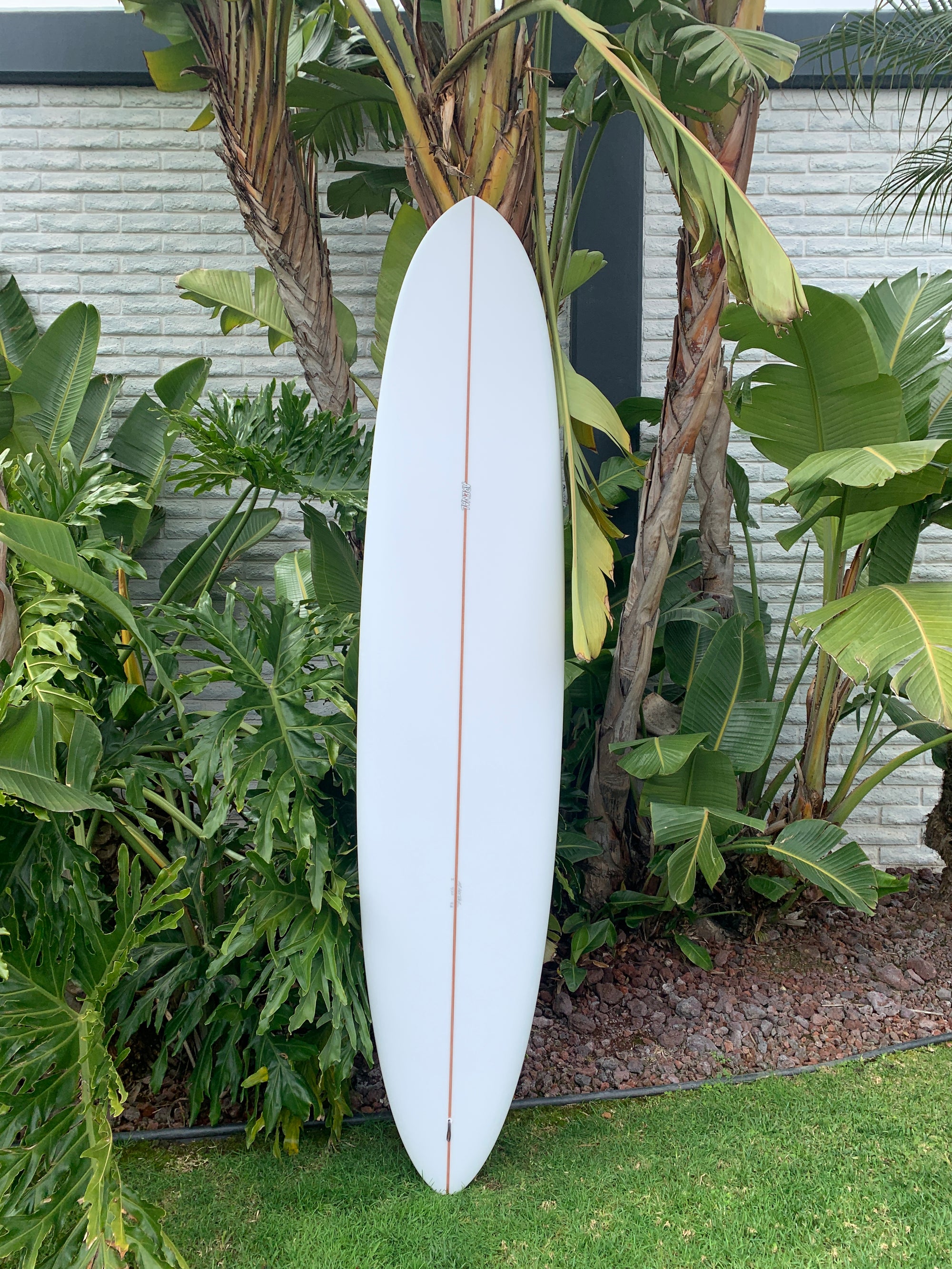 8'8" Arenal Anomal Surfboard